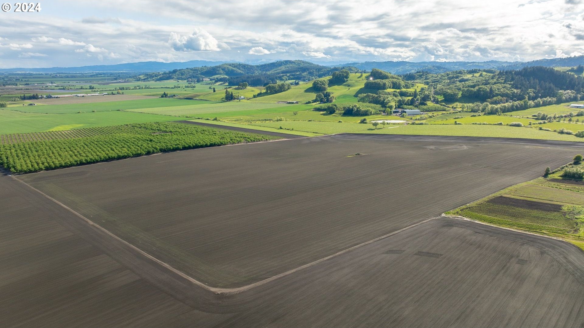 0 SW YOUNGBERG HILL RD, McMinnville, Oregon, 97128, United States, ,Land,For Sale,0 SW YOUNGBERG HILL RD,1523694