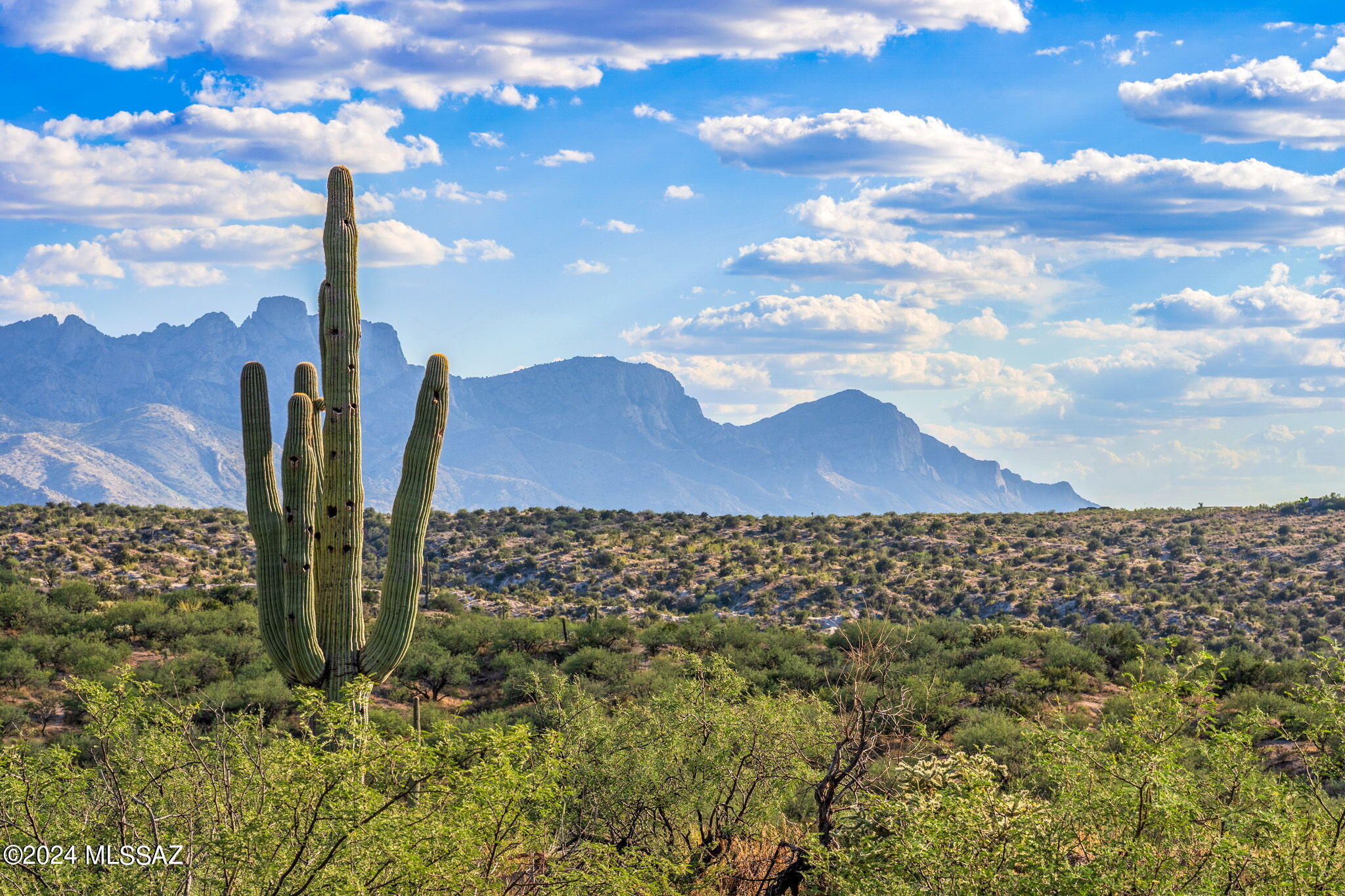 Tucson, Arizona, 85739, United States, ,Land,For Sale,1744993