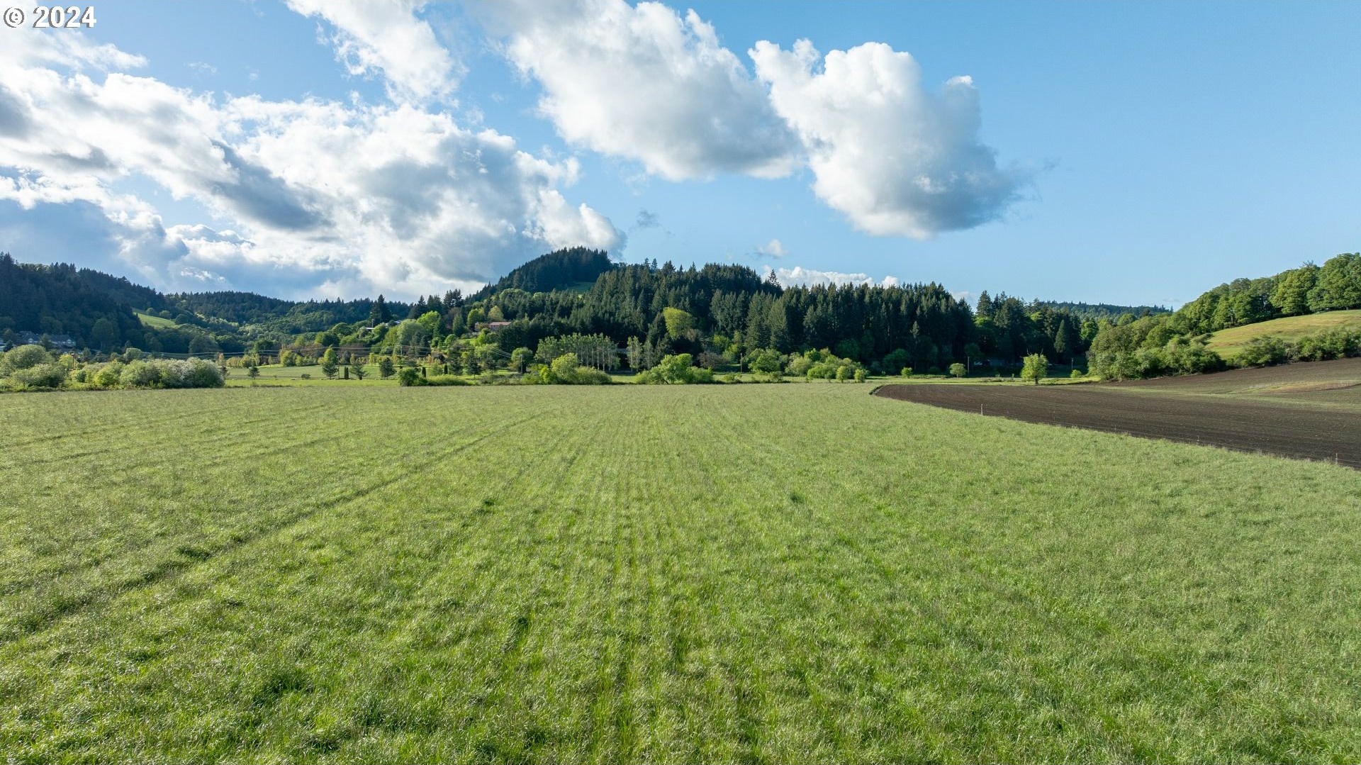 0 SW YOUNGBERG HILL RD, McMinnville, Oregon, 97128, United States, ,Land,For Sale,0 SW YOUNGBERG HILL RD,1523694