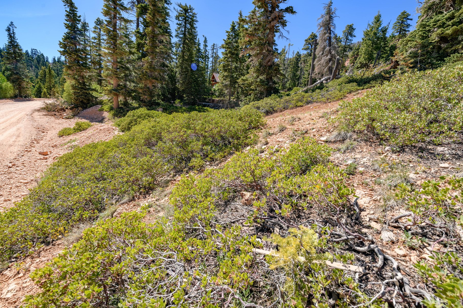 Quiet Mountain Retreat Near Navajo Lake - 物件實景