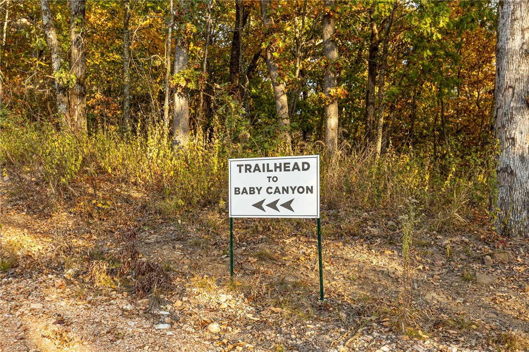 Harrison, Arkansas, 72601, United States, ,Land,For Sale,1903460