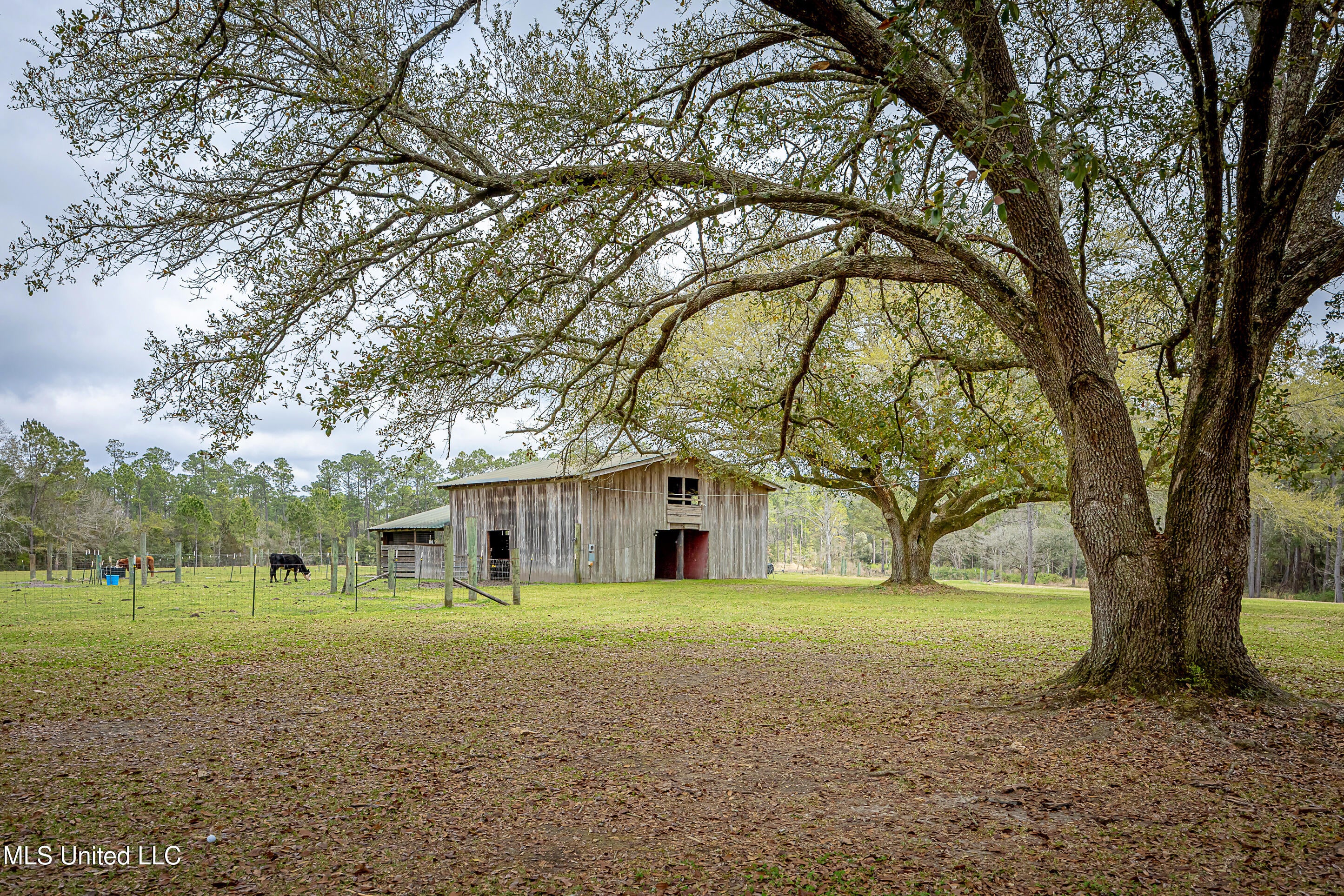 Vancleave, Mississippi, 39565, United States, 4 Bedrooms Bedrooms, ,2 BathroomsBathrooms,Residential,For Sale,1927401