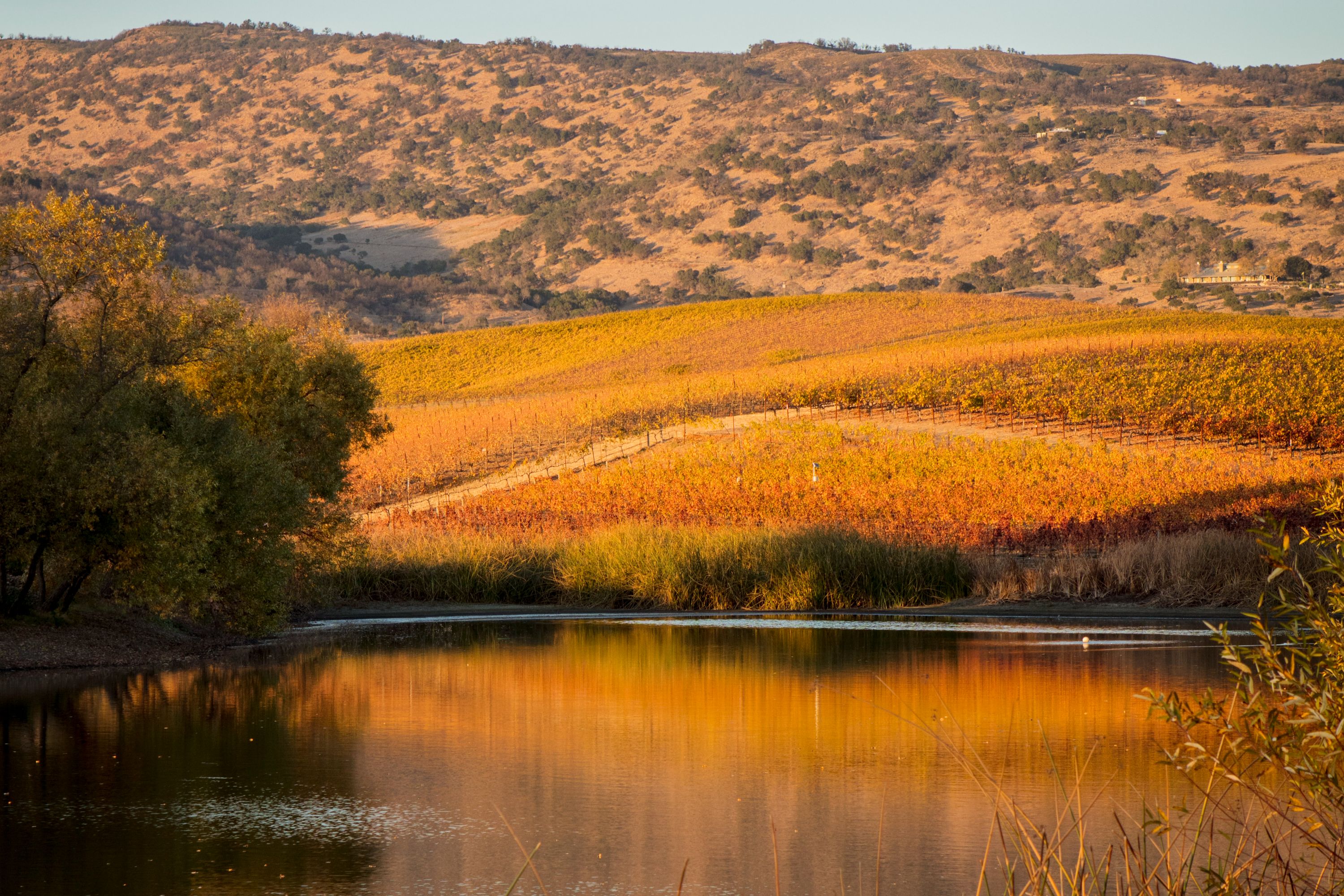  Krupp Brothers Estate - 物件實景