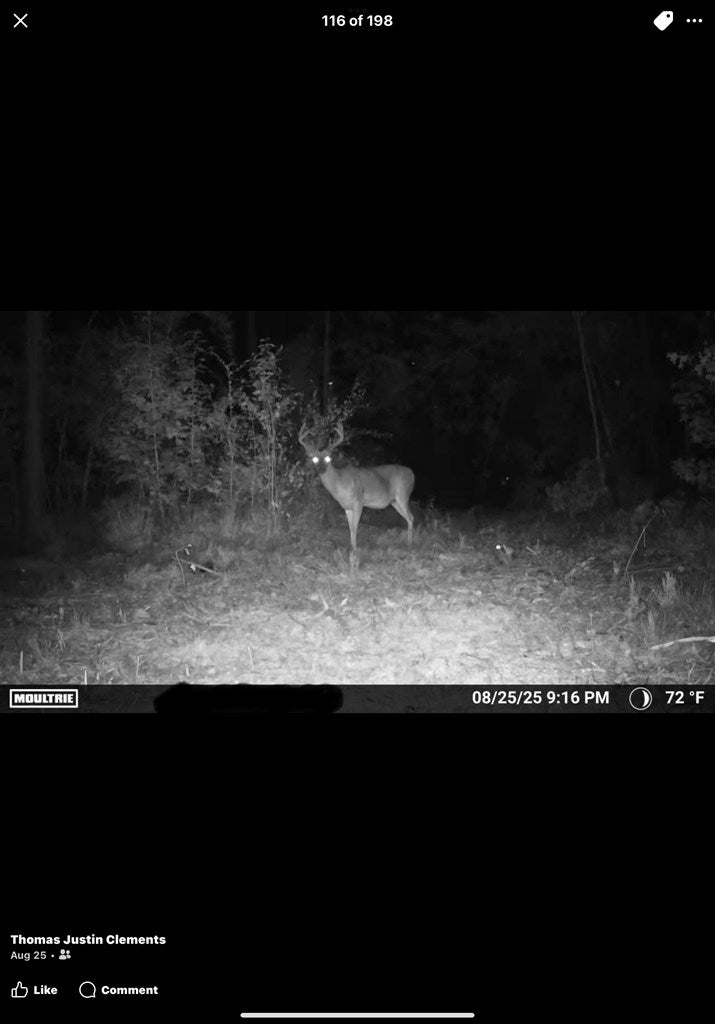 Abbeville, Georgia, 31001, United States, ,Land,For Sale,1975130