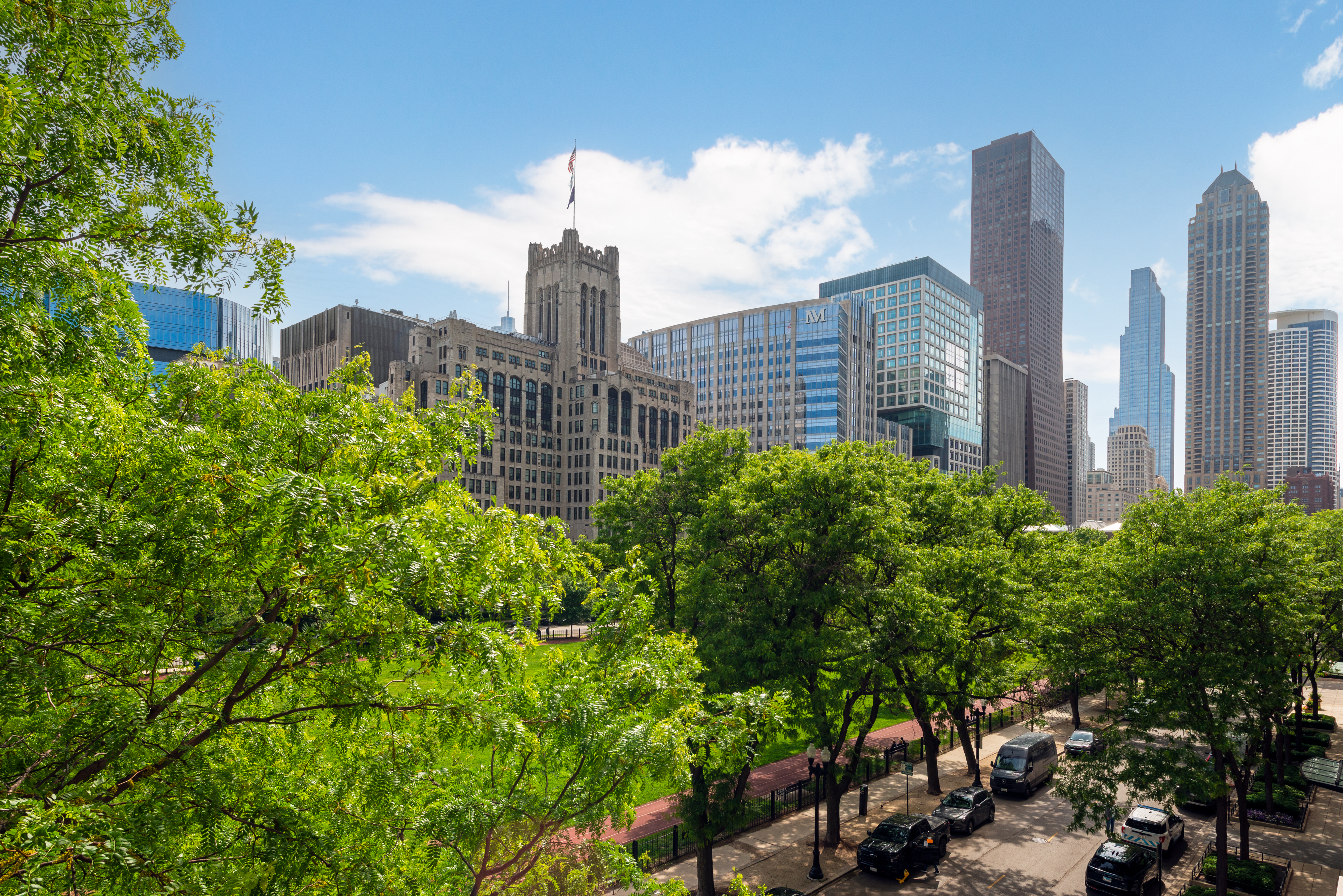  Rare Opportunity to Own One of Streeterville