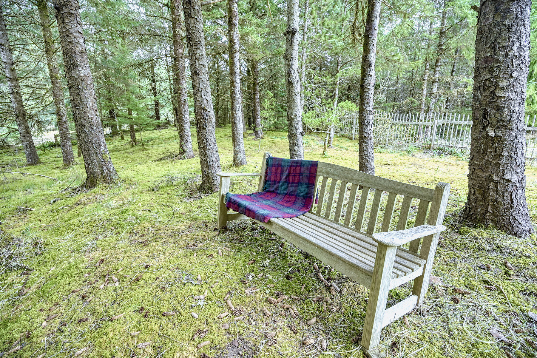  Legacy Oceanfront Haida Gwaii - 物件實景