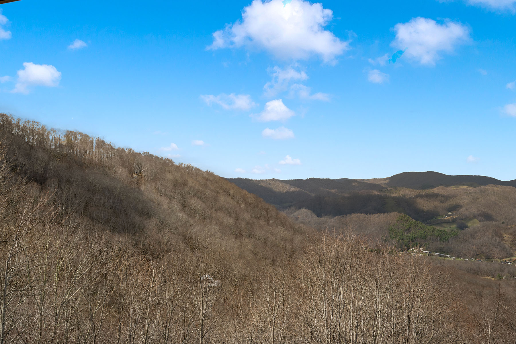  SILVERLEAF - ZIONVILLE - 物件實景