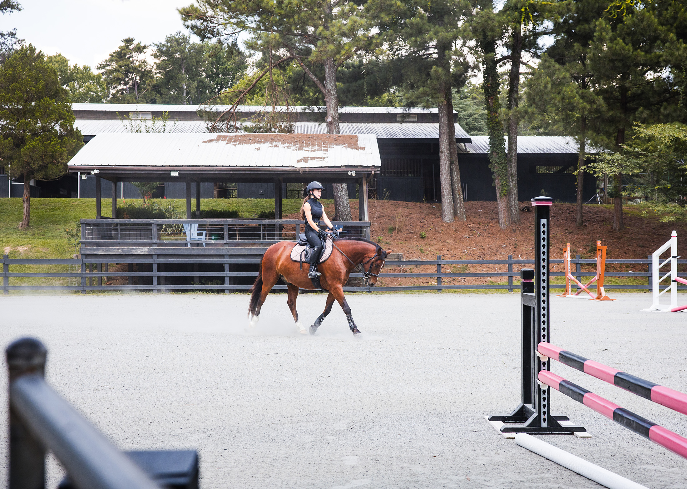  Rare Equestrian Facility with Prestigious Address - 物件實景