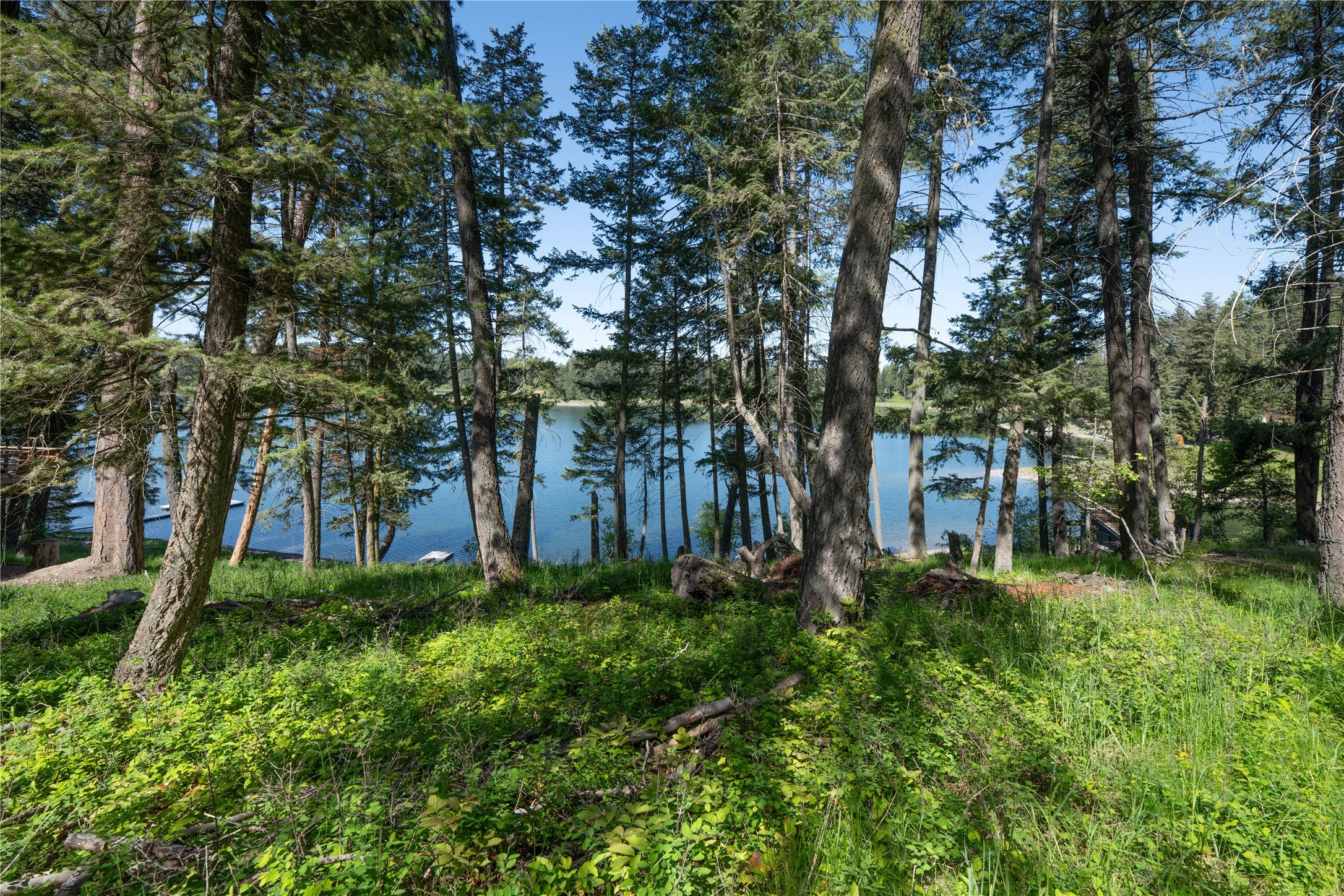 Bigfork, Montana, 59911, United States, ,Land,For Sale,1866727