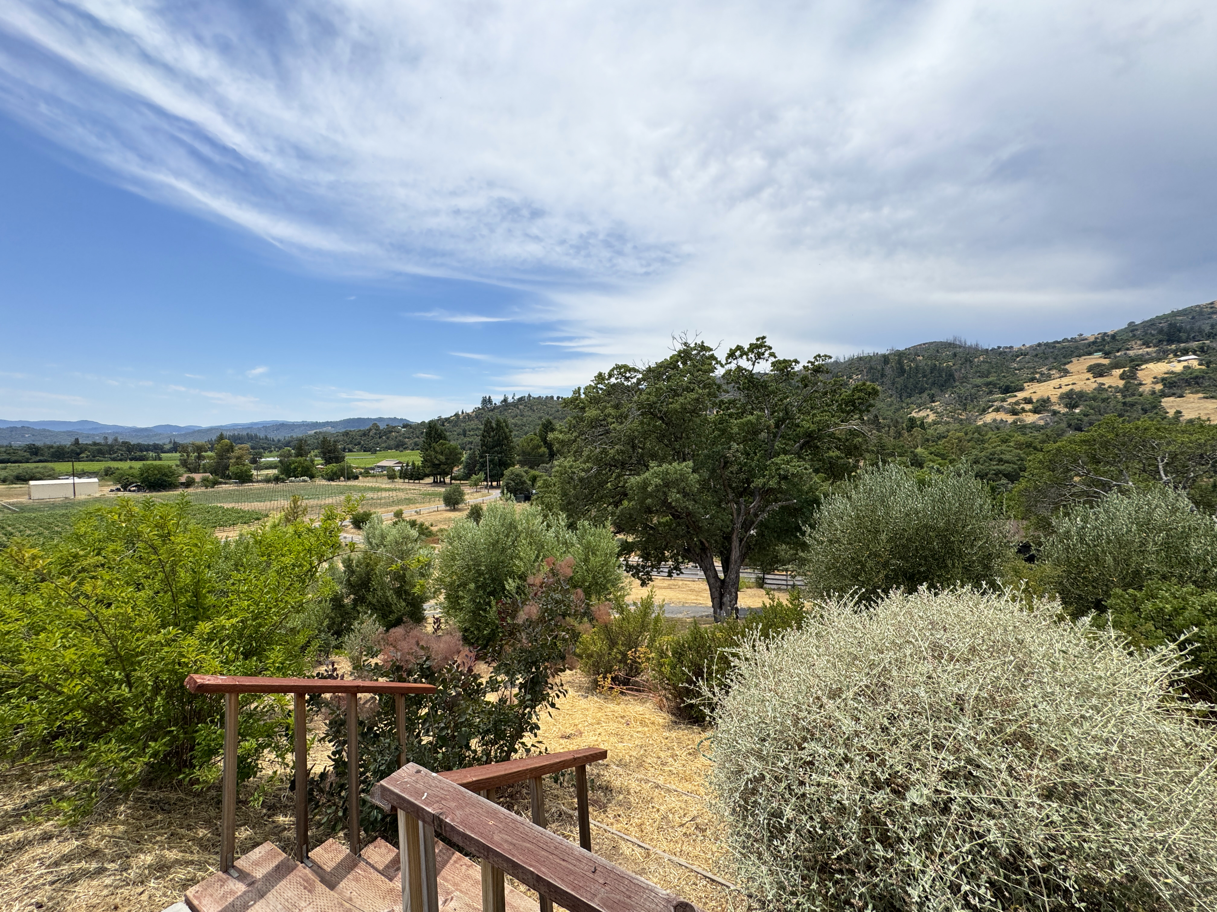 Redwood Valley, California, 95470, United States, 3 Bedrooms Bedrooms, ,3 BathroomsBathrooms,Residential,For Sale,1889817