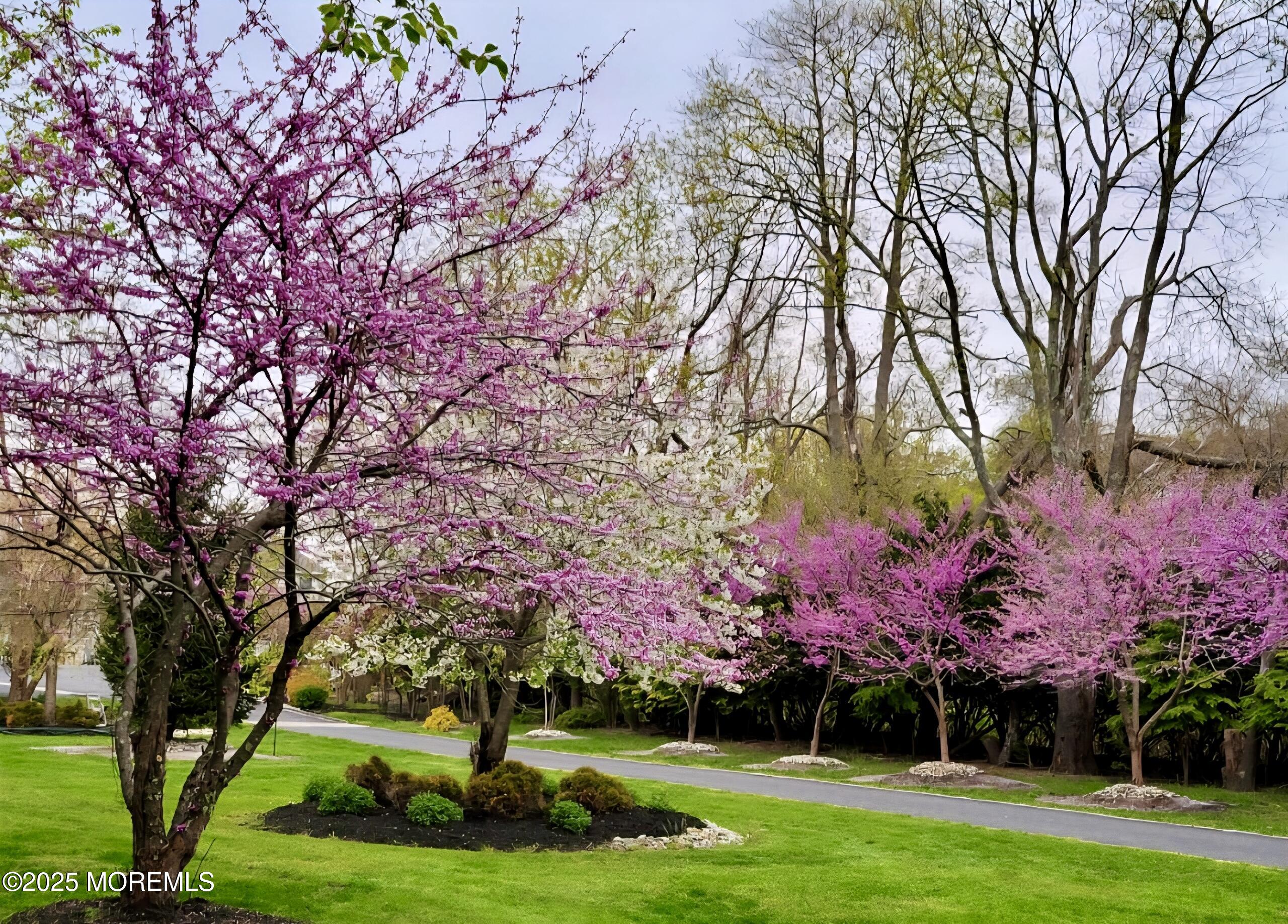 Wall, New Jersey, 07719, United States, 6 Bedrooms Bedrooms, ,4 BathroomsBathrooms,Residential,For Sale,2003107