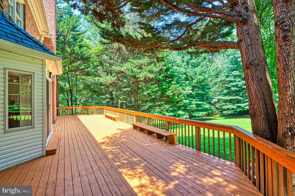 Great Falls, Virginia, 22066, United States, 5 Bedrooms Bedrooms, ,5 BathroomsBathrooms,Residential,For Sale,1900616