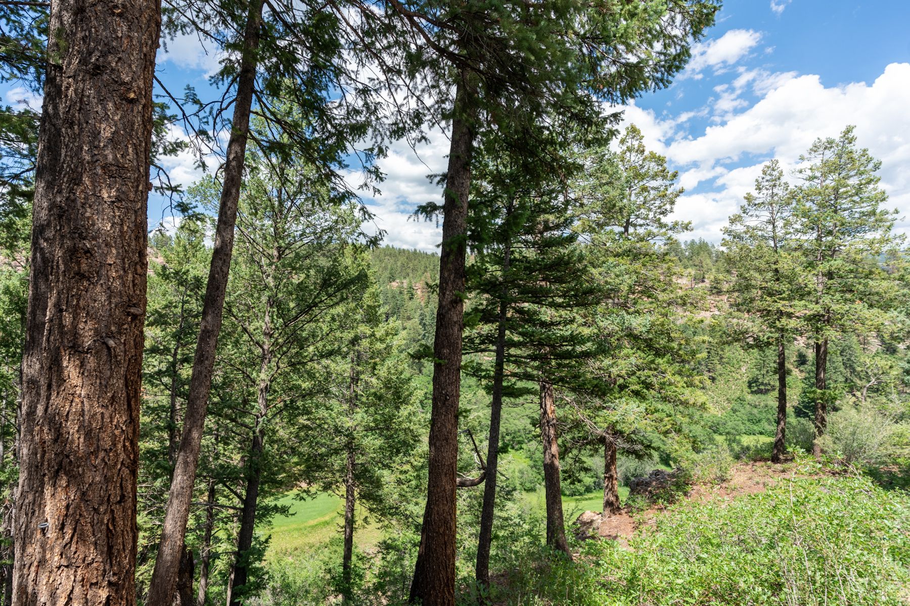  961 Tamarron Drive,  #615 Durango, CO 81301 - 物件實景