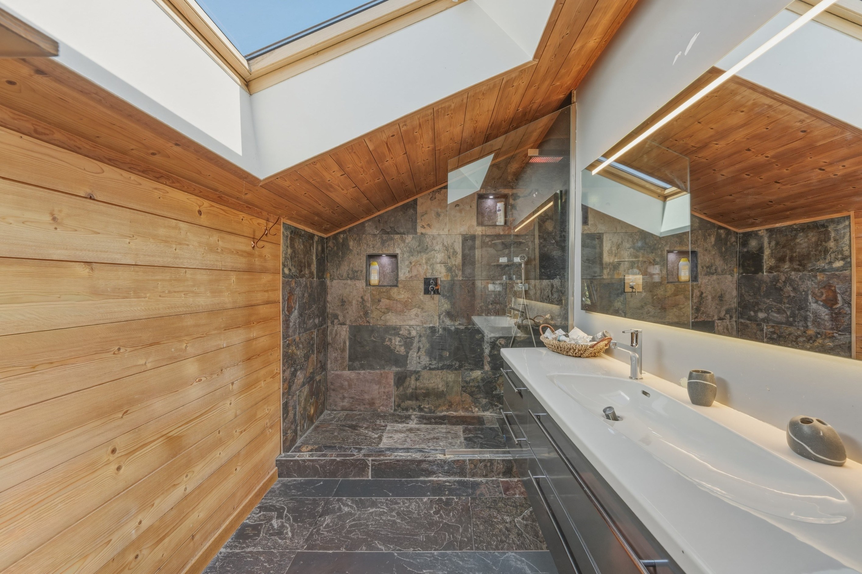  Passive Architect-Designed Villa - Saint-Cergues - 物件實景
