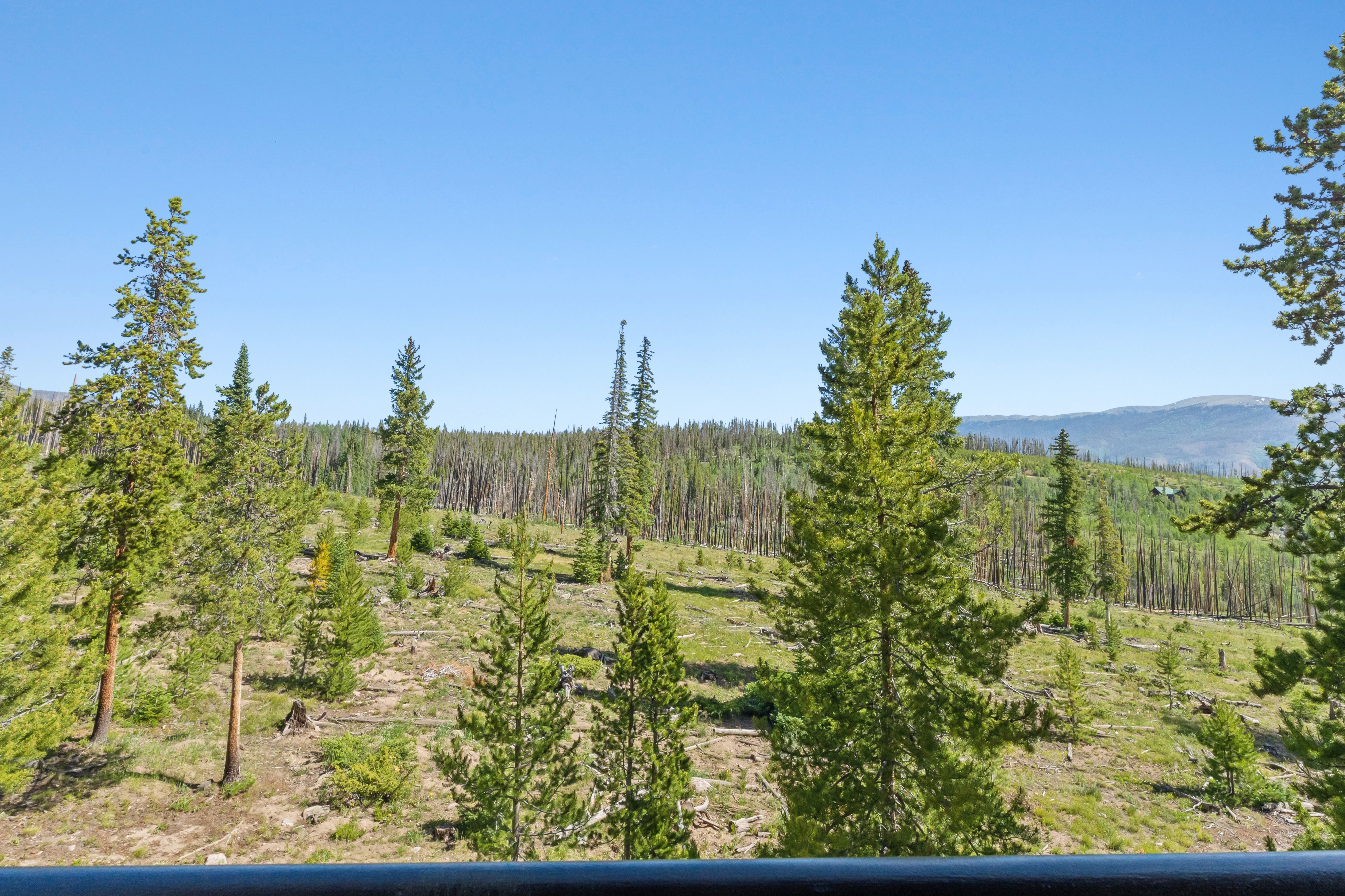  91200 Ryan Gulch Road, Silverthorne, CO, 80498 - 物件實景