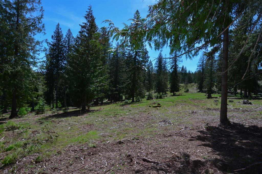Sagle, Idaho, 83860, United States, ,Land,For Sale,1974286