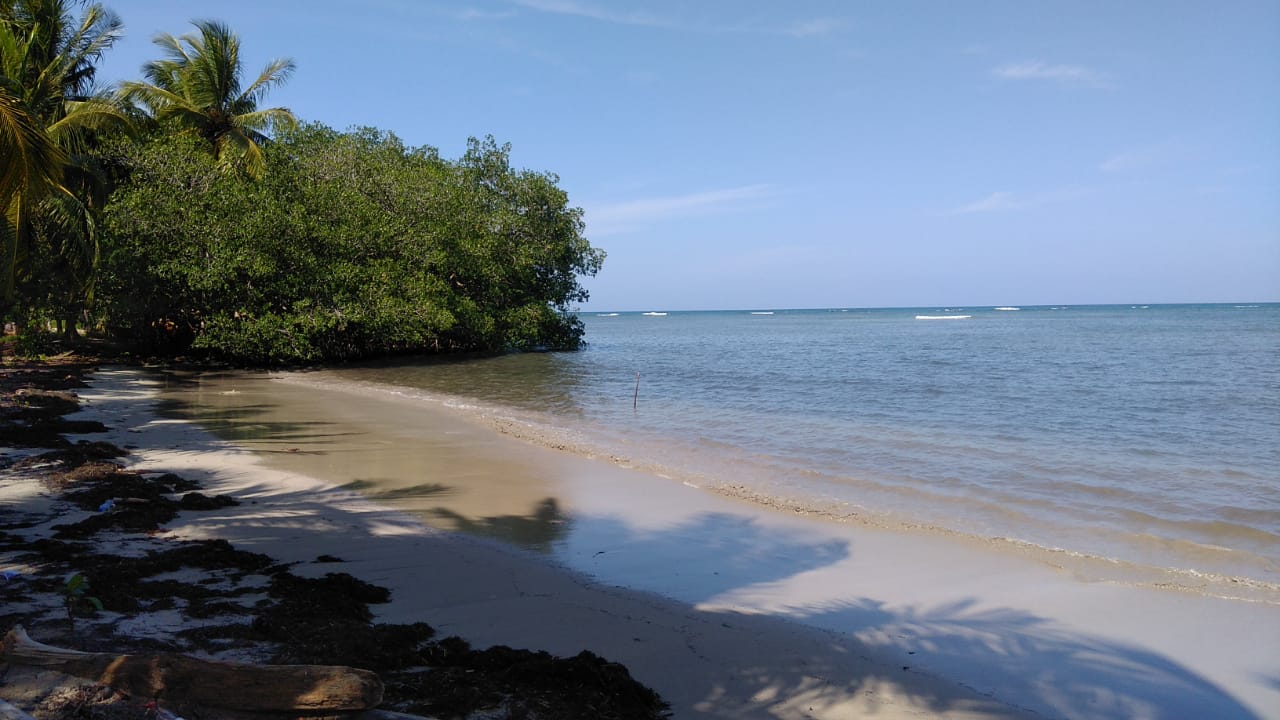 Las Terrenas, DO, ,Land,For Sale,1620981