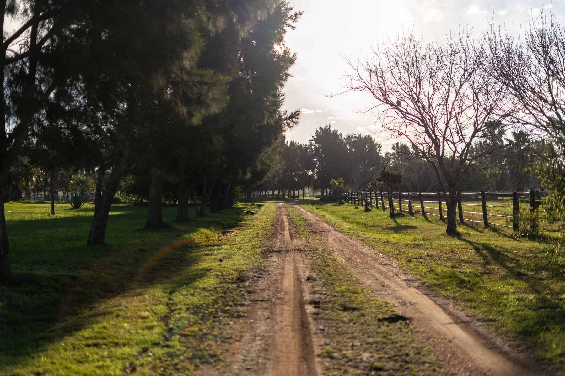  NAHUEL Stud Farm - 物件實景