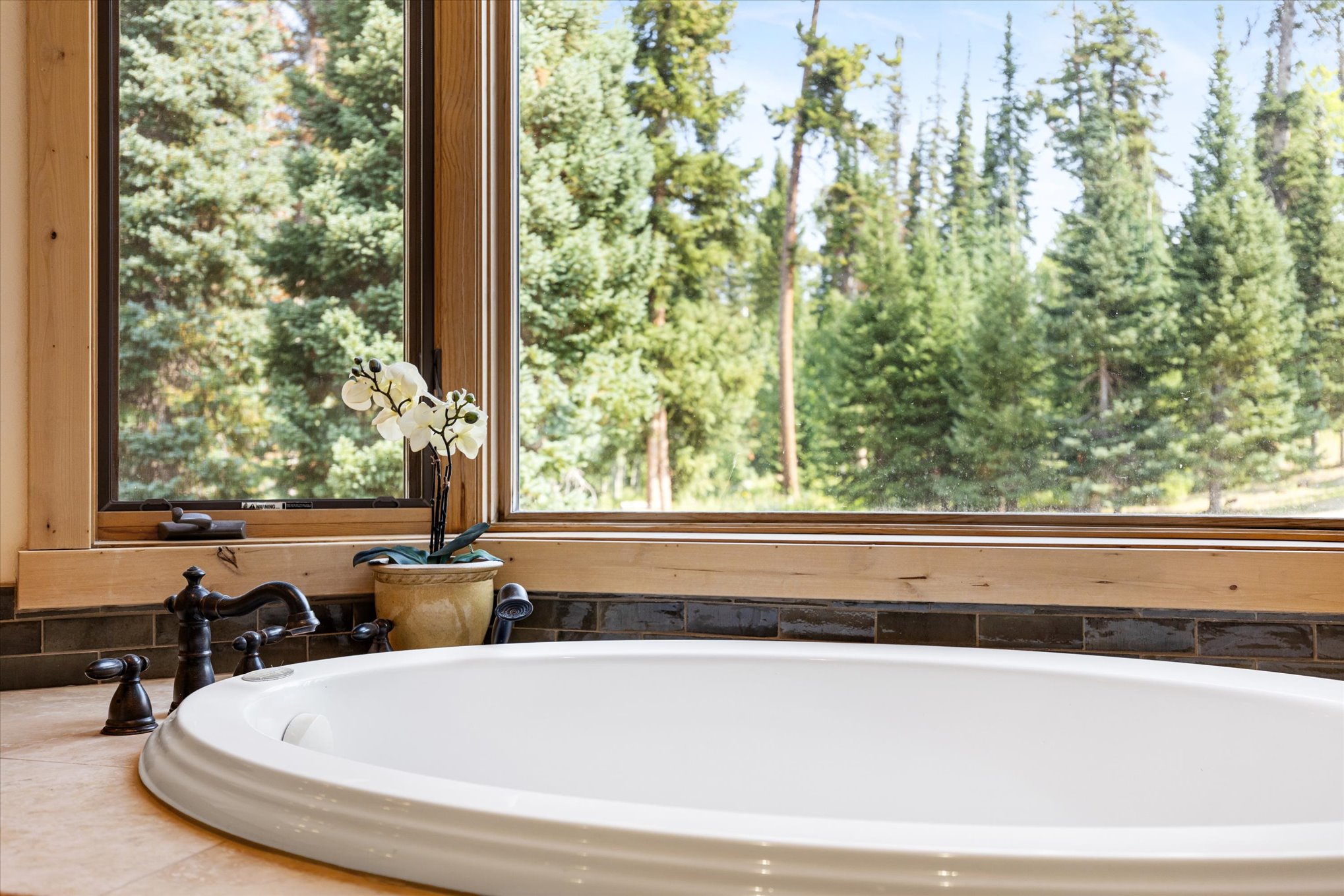 6.28-Acre North Routt Retreat - 物件實景