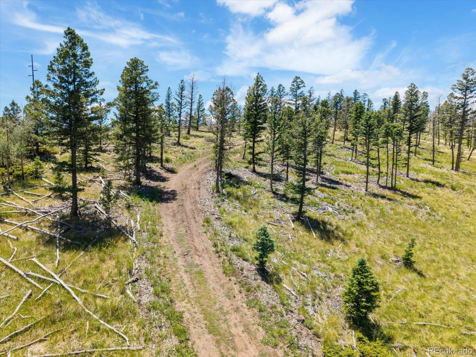 Poncha Springs, Colorado, 81242, United States, 3 Bedrooms Bedrooms, ,3 BathroomsBathrooms,Residential,For Sale,1895257