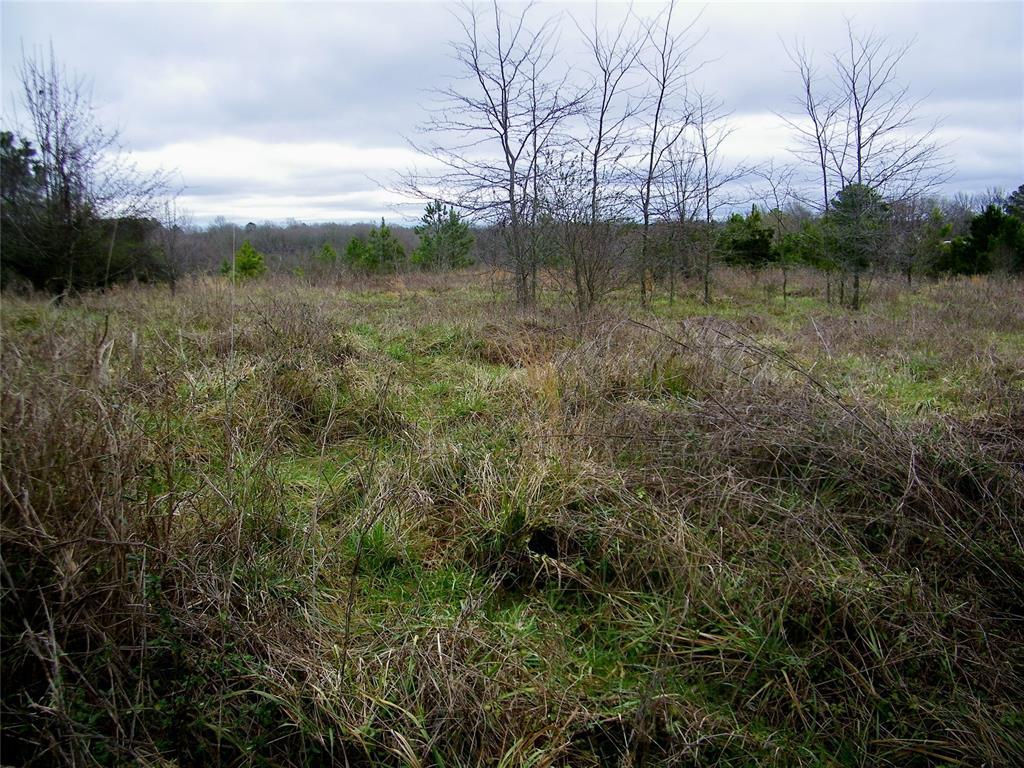 Idabel, Oklahoma, 74745, United States, ,Residential,For Sale,1981153