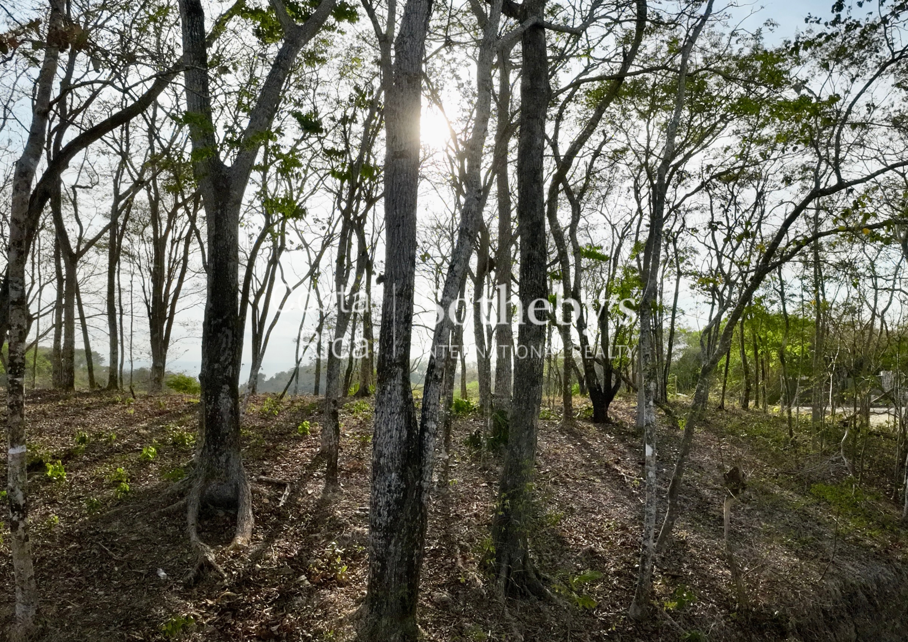  Expansive Ocean View Lot in the Hills of Hermosa - 物件實景