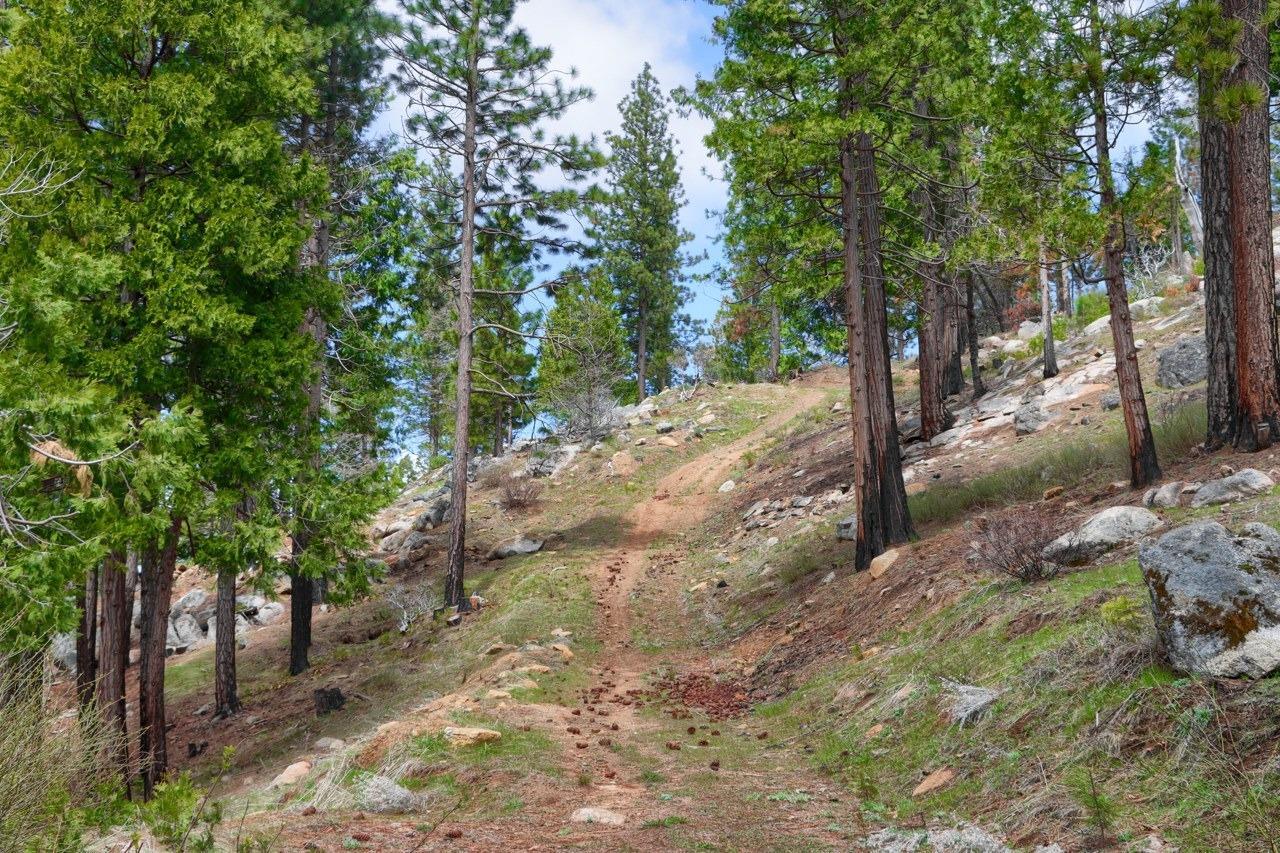 Yosemite, California, 95389, United States, ,Residential,For Sale,1791701