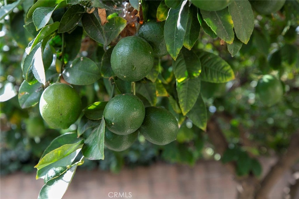 Sylmar, California, 91342, United States, 2 Bedrooms Bedrooms, ,1 BathroomBathrooms,Residential,For Sale,1960749