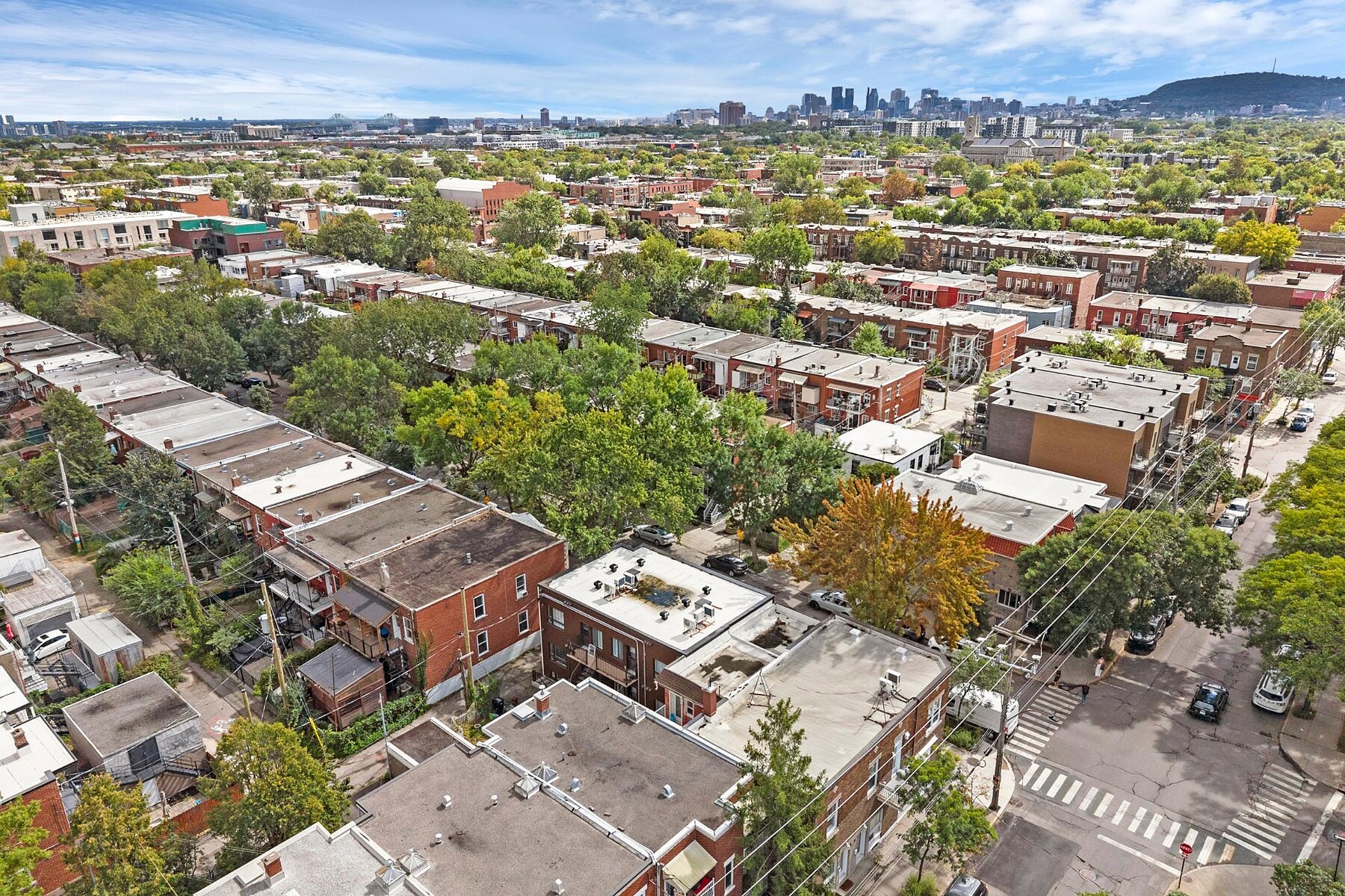  Rosemont / La Petite-Patrie, Montréal - 物件實景