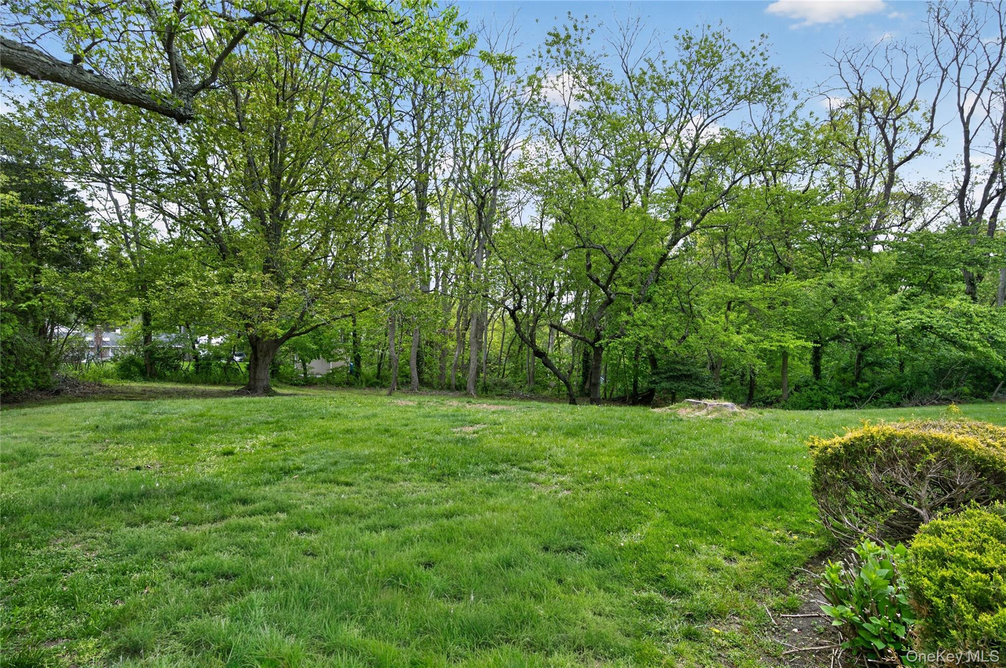  24 Thorngrove Lane, Dix Hills, NY, 11746 - 物件實景