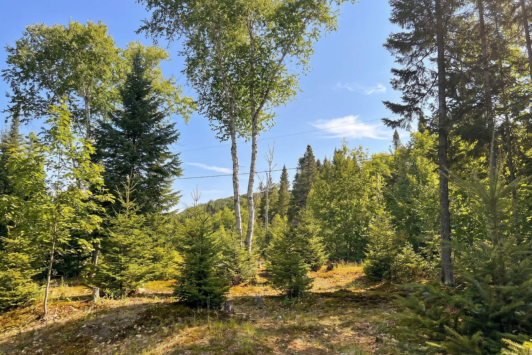  Val-des-Lacs, Laurentides - 物件實景