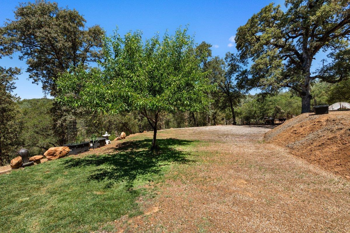 Grass Valley, California, 95949, United States, 4 Bedrooms Bedrooms, ,3 BathroomsBathrooms,Residential,For Sale,1924351