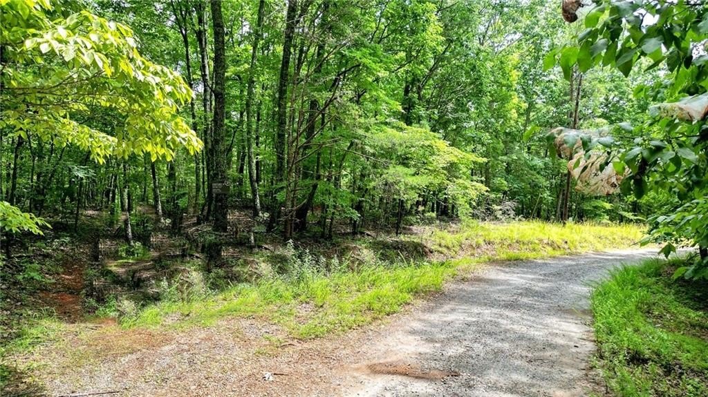 Jasper, Georgia, 30143, United States, ,Land,For Sale,1976881