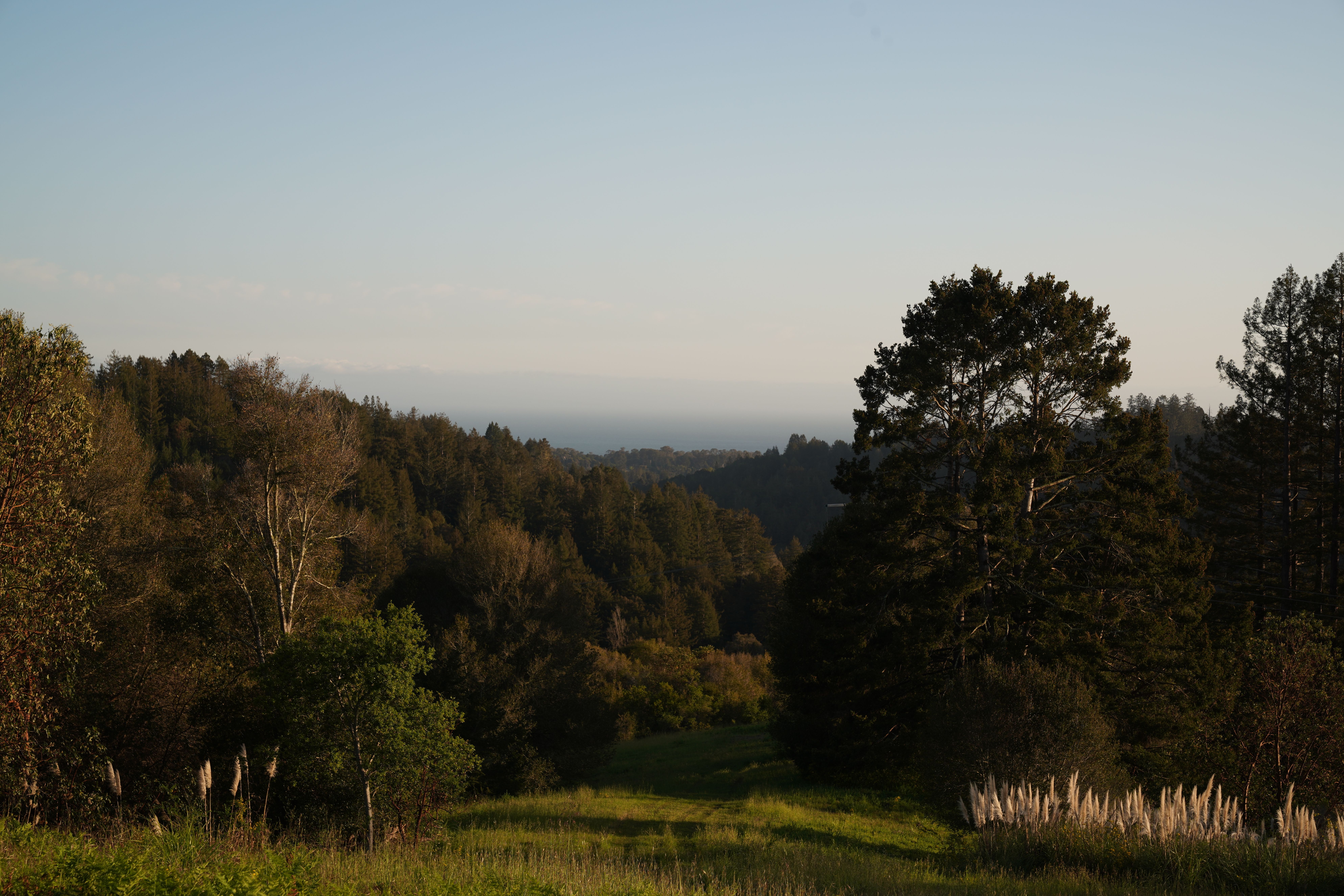  700 Valencia School Road, Aptos, CA 95003 - 物件實景