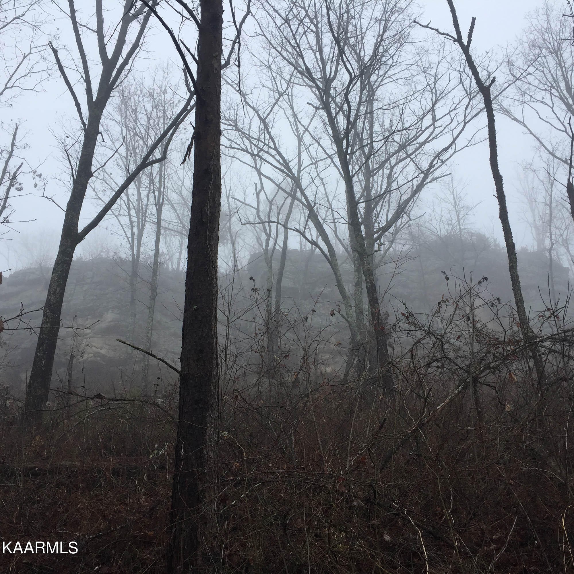 Pikeville, Tennessee, 37367, United States, ,Residential,For Sale,1943070