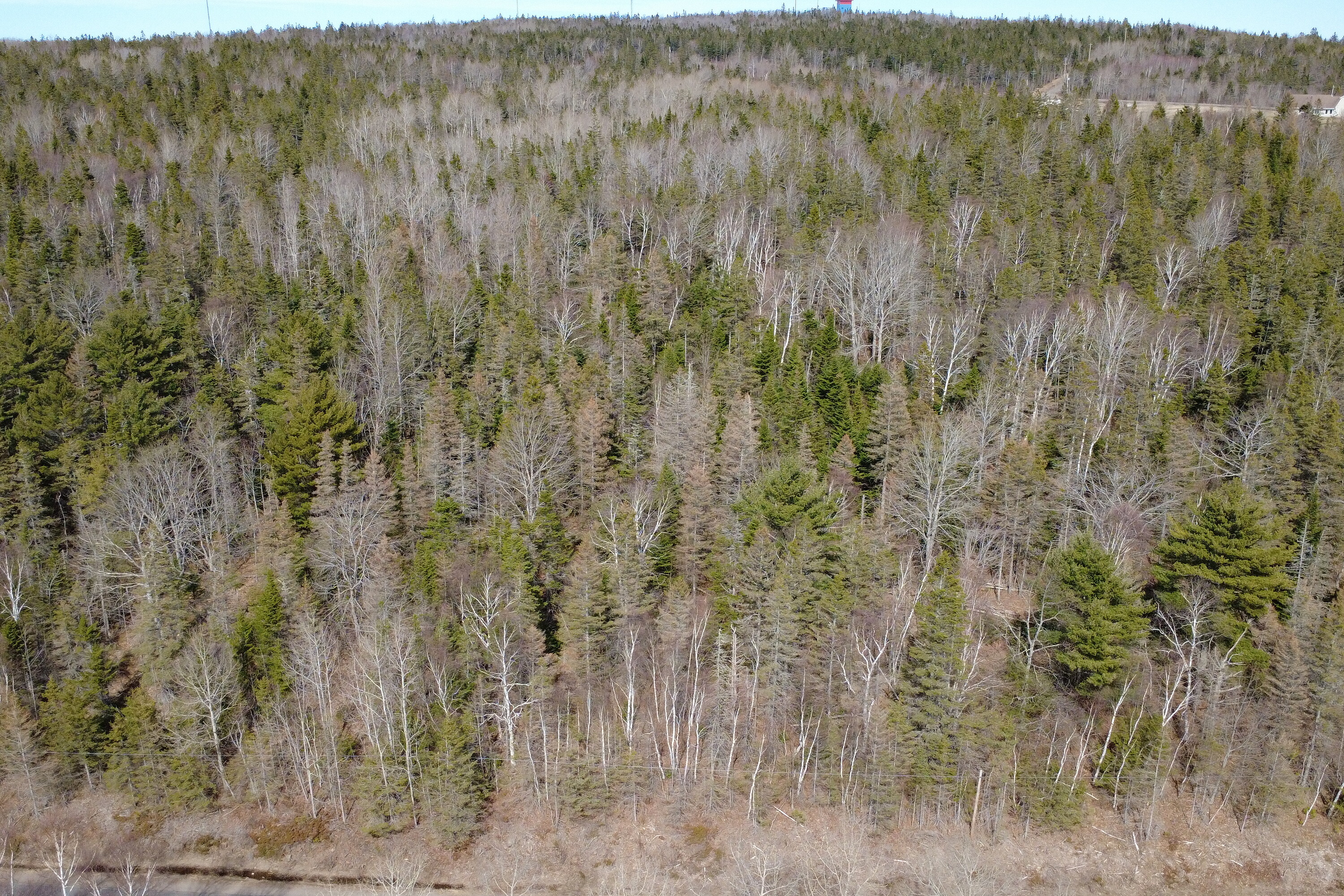  Melvern Square, - 物件實景