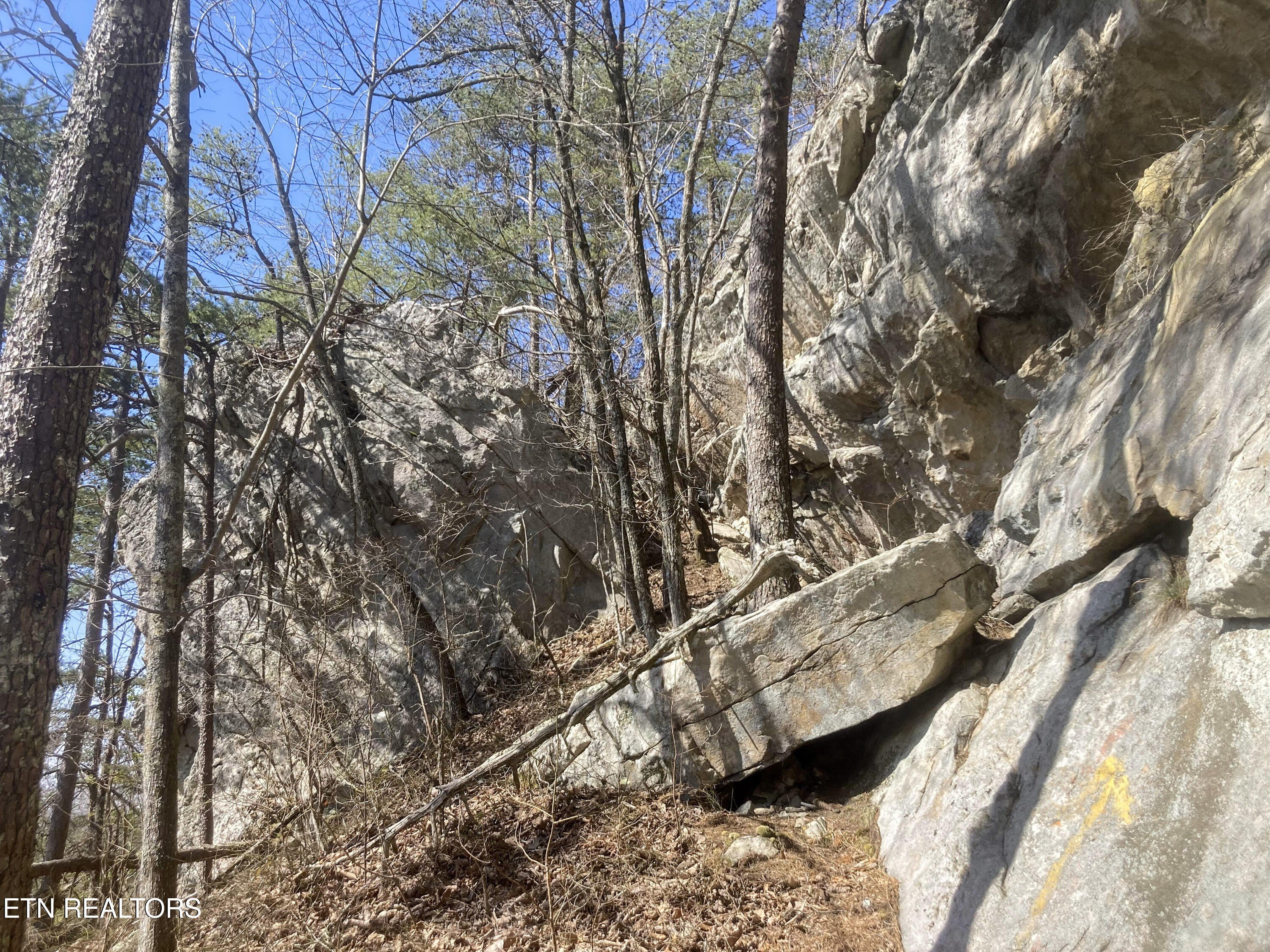 Pikeville, Tennessee, 37367, United States, 3 Bedrooms Bedrooms, ,2 BathroomsBathrooms,Residential,For Sale,1974789