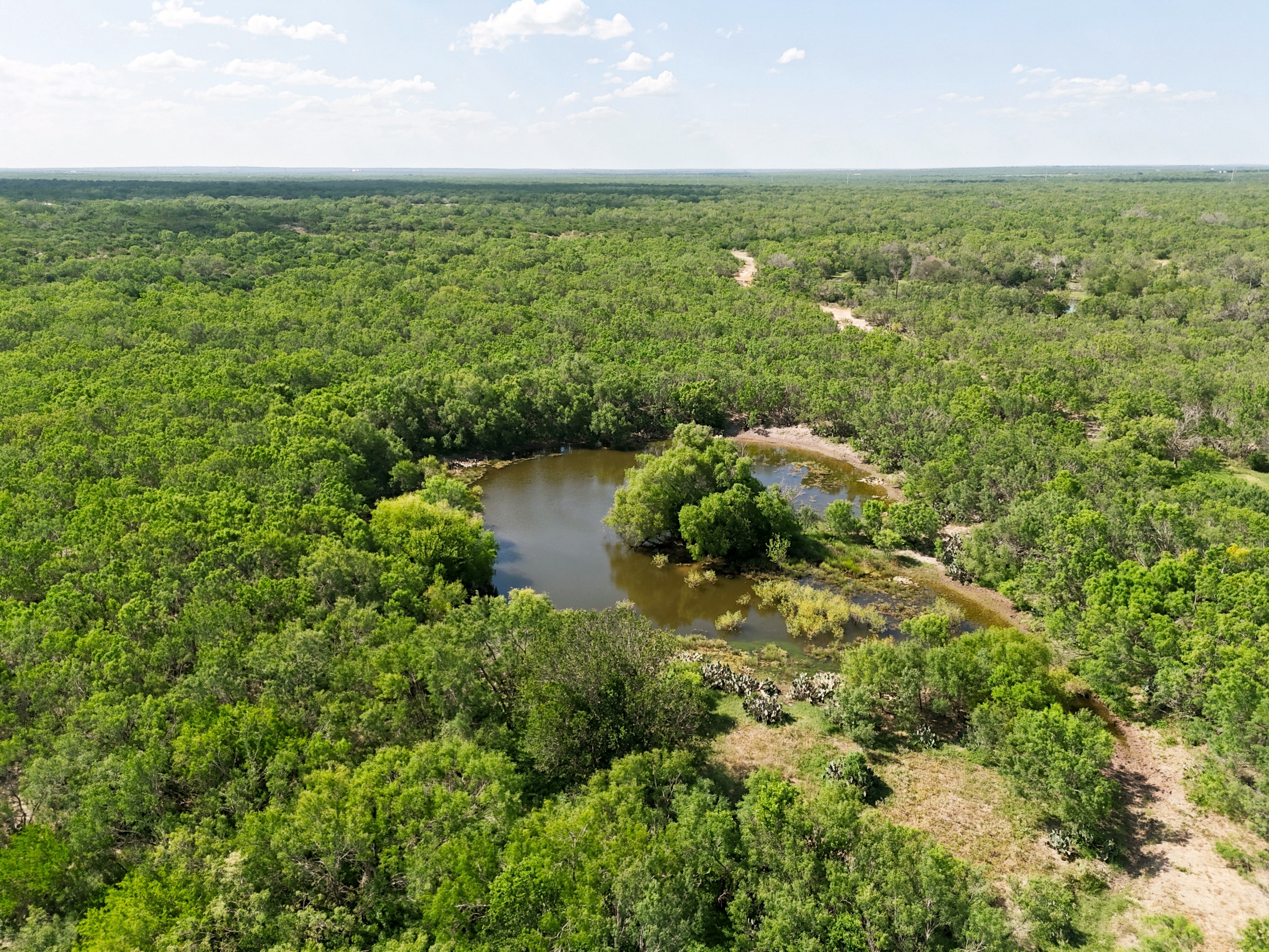 O6 Ranch in Frio County - 物件實景