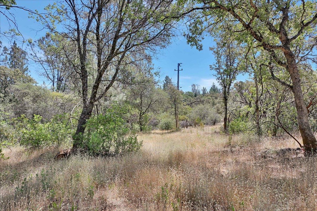 Oregon House, California, 95962, United States, ,Land,For Sale,1975767