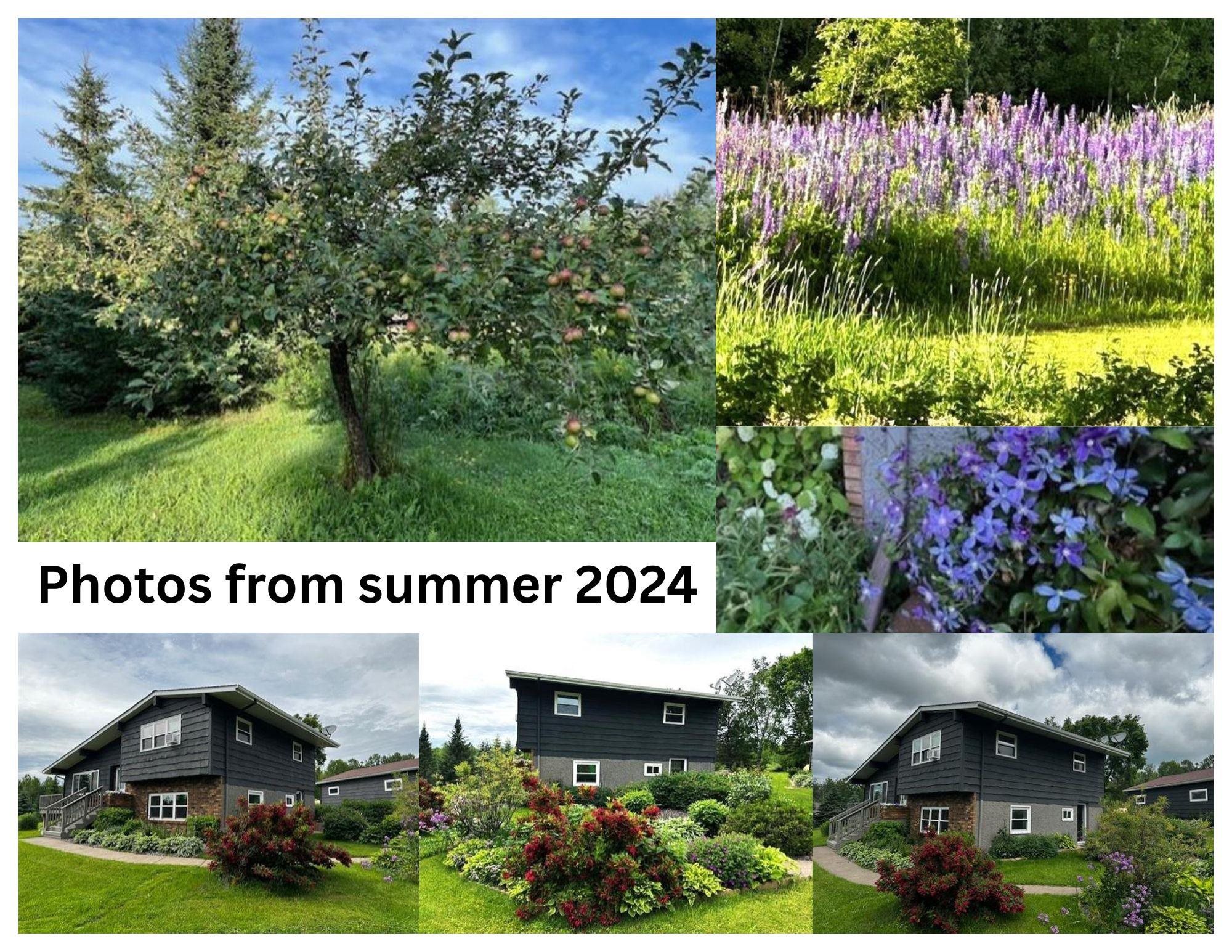 Duluth, Minnesota, 55803, United States, 4 Bedrooms Bedrooms, ,1 BathroomBathrooms,Residential,For Sale,1987307