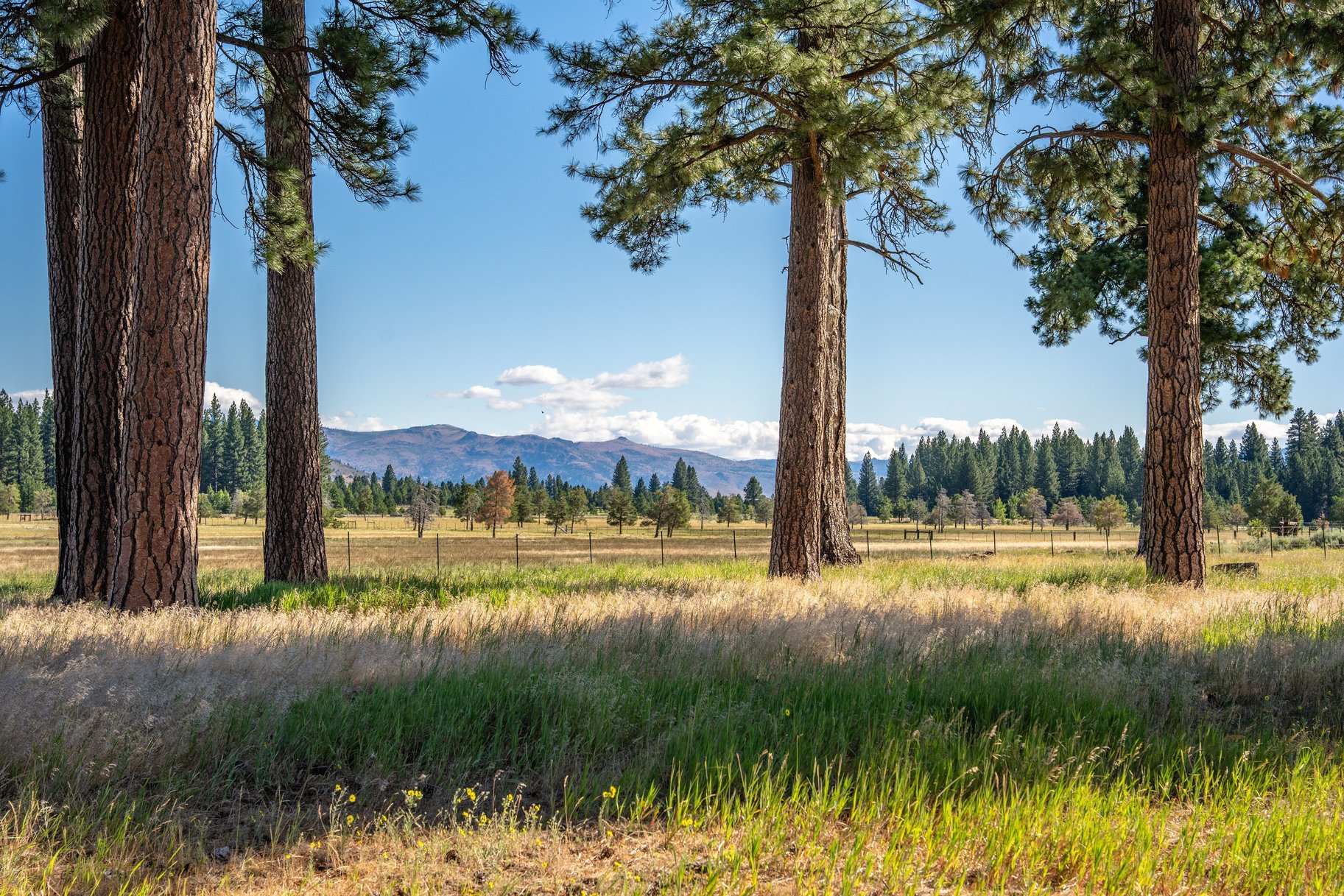  Landmark Ranch in California