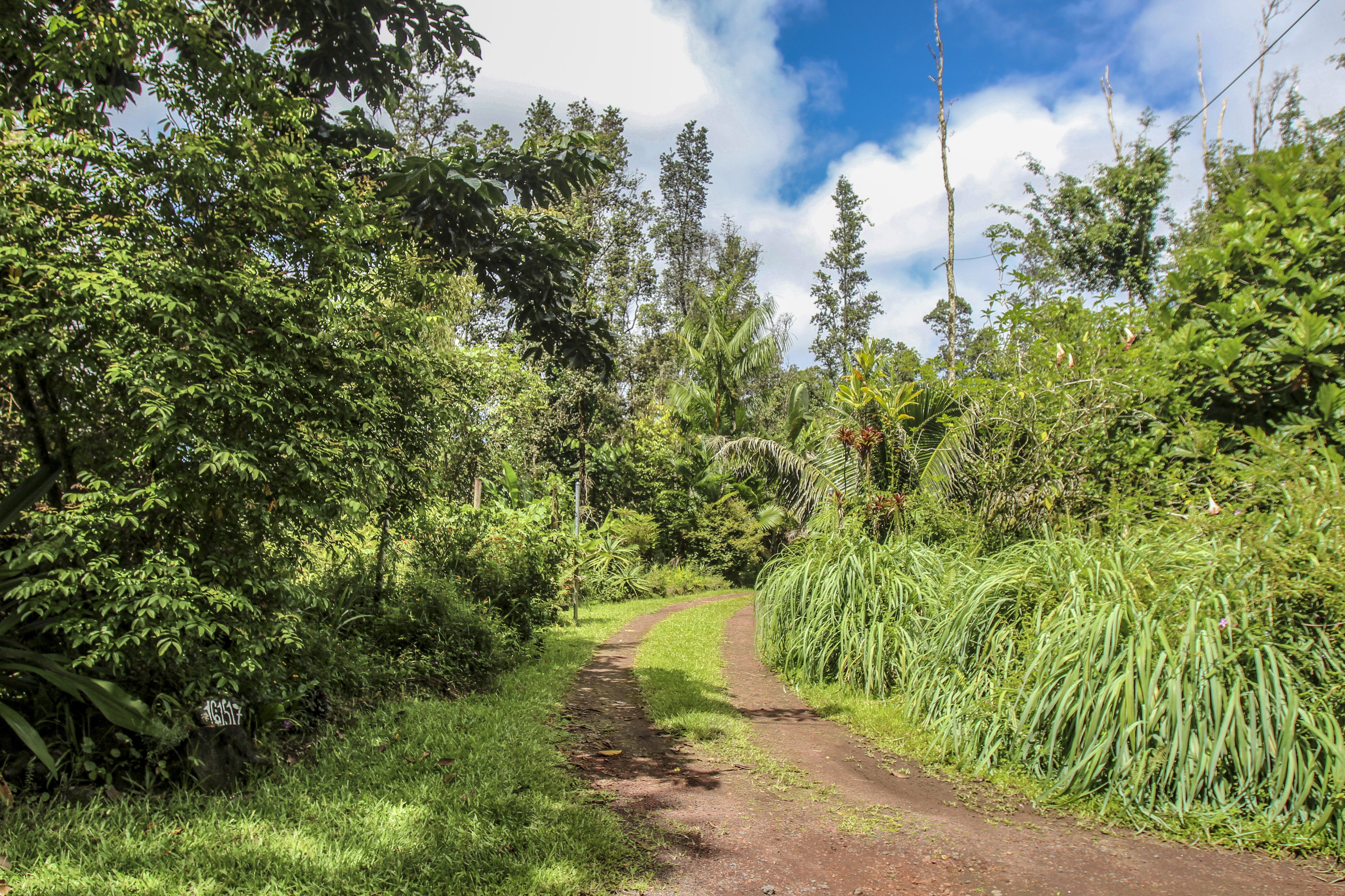  16-1517 Poouli Rd, Kurtistown, HI, 96760 - 物件實景