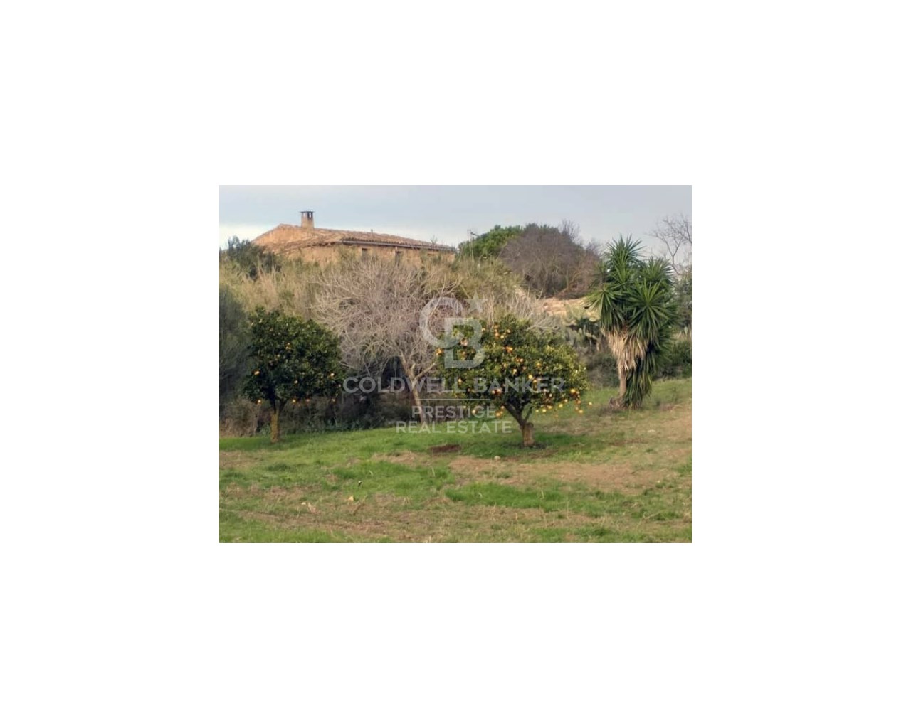 Mallorca, Art?, Art? Mallorca, Art?, Art? Mallorca, Artà, Balearic Islands, 07570, ES, 5 Bedrooms Bedrooms, ,2 BathroomsBathrooms,Residential,For Sale,Mallorca, Art?, Art? Mallorca, Art?, Art? Mallorca,1623997
