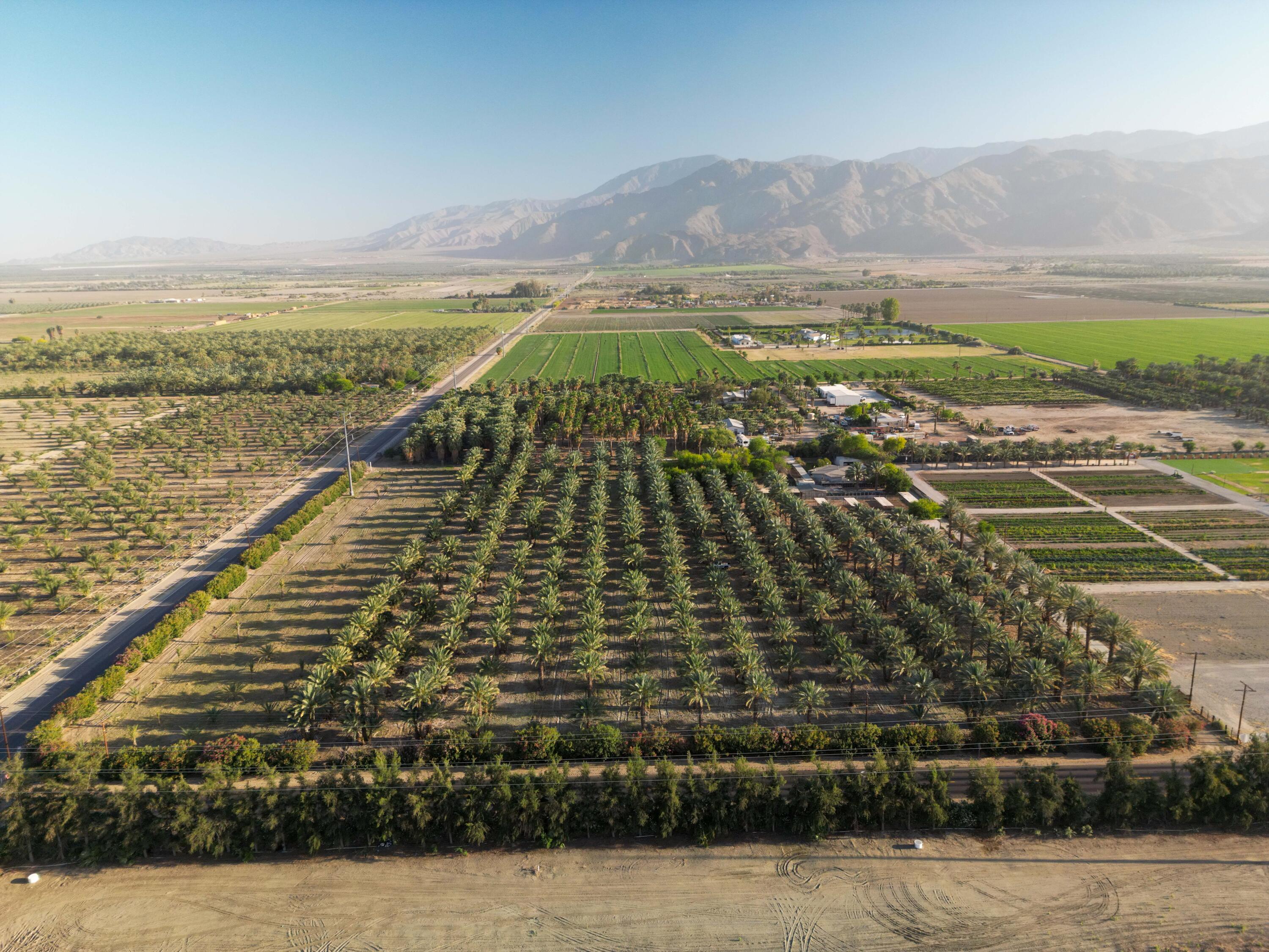 Thermal, California, 92274, United States, ,Land,For Sale,2006588