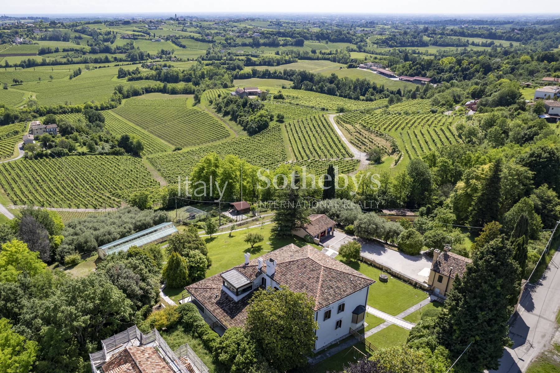  Hillside villa with olive grove and caretaker