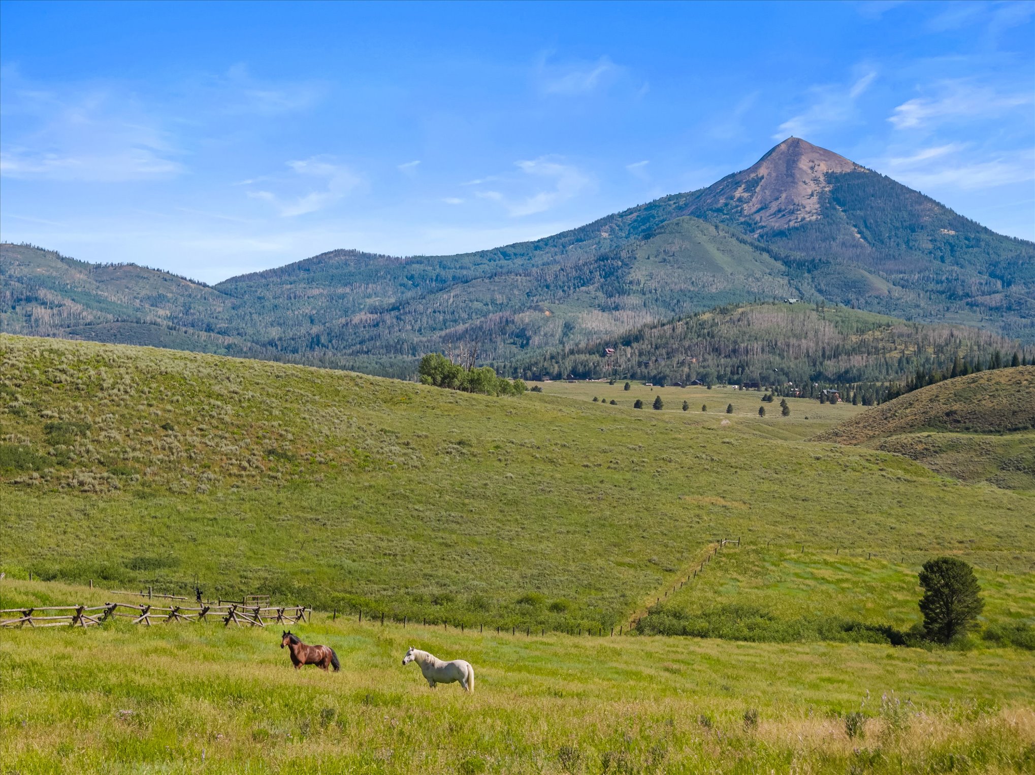  59205 Button Willow Drive, Clark, CO, 80428 - 物件實景