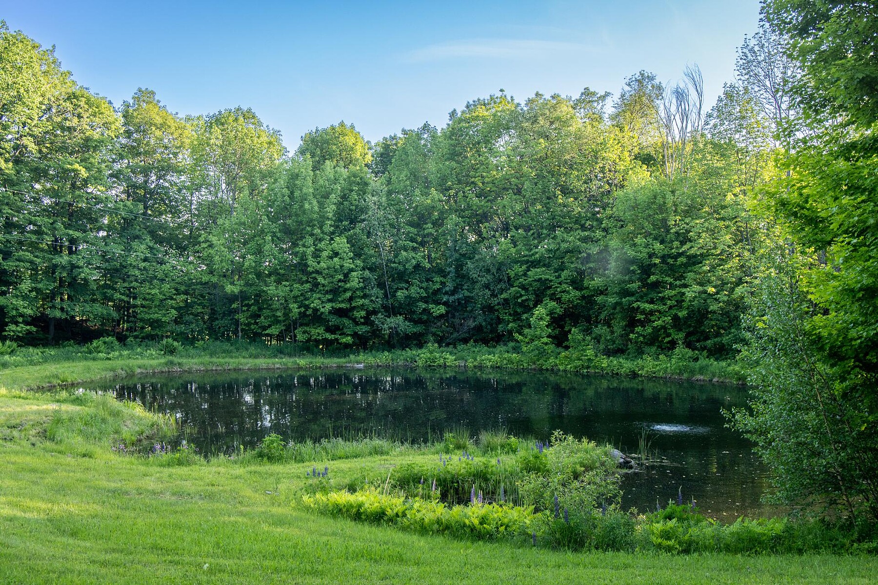  Sutton, Eastern Townships - 物件實景