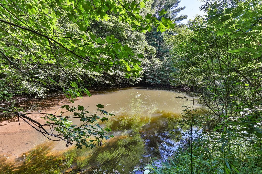 Cherry Log, Georgia, 30522, United States, ,Land,For Sale,1858995