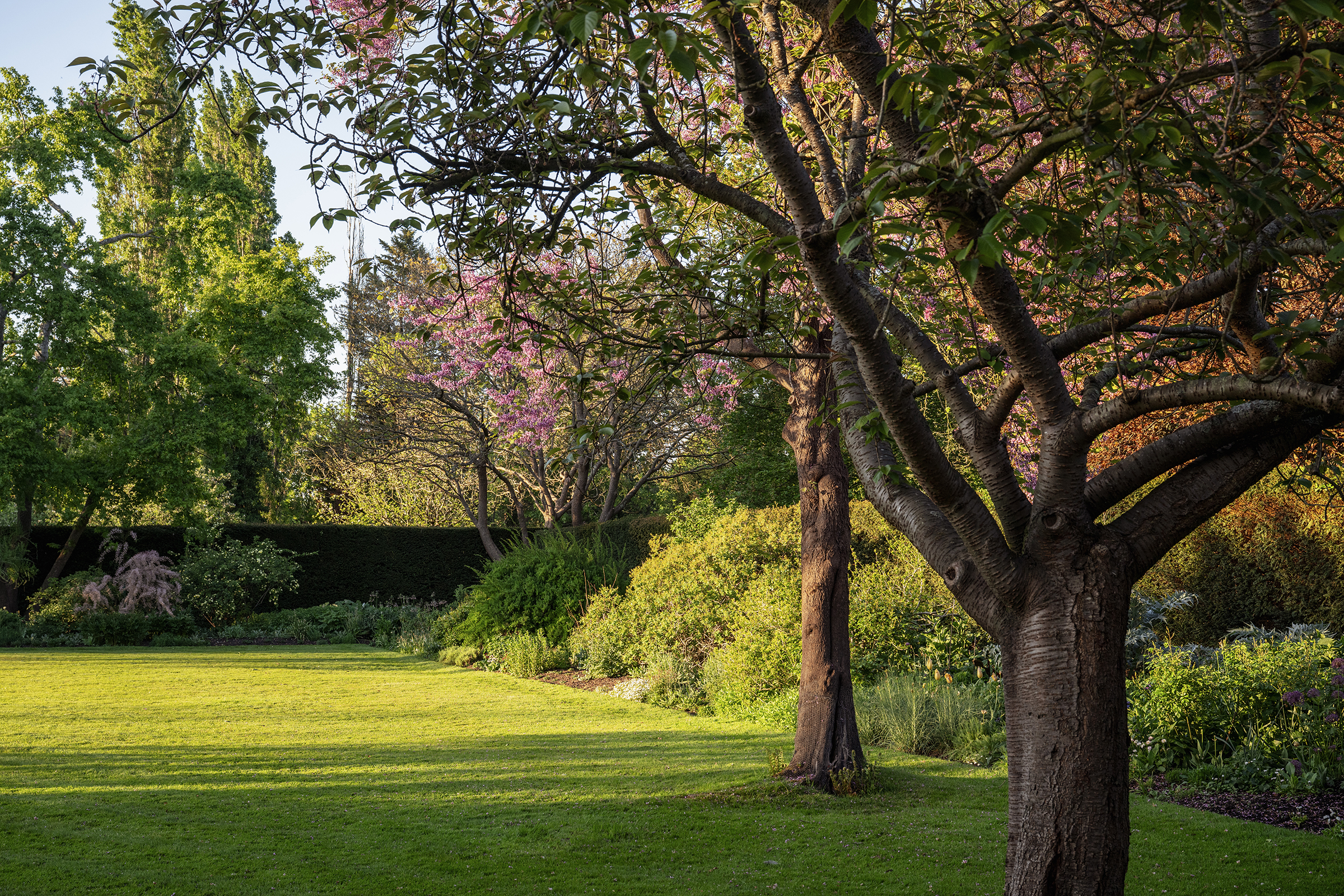  An Exceptional Early Georgian Estate Between Richmond Park and Ham Common - 物件實景