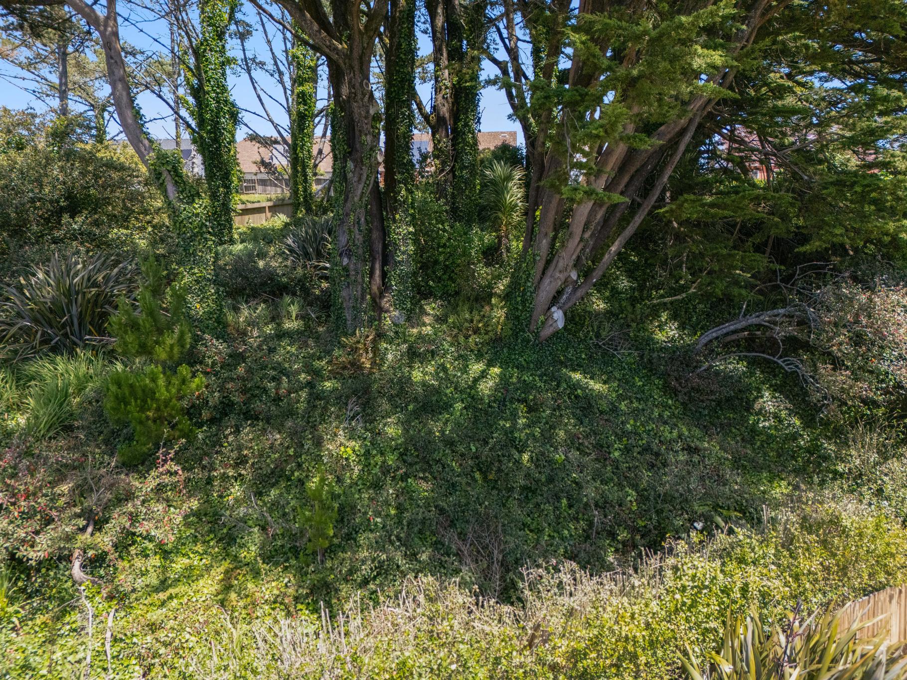  Exceptional Pacifica Retreat with Views - 物件實景